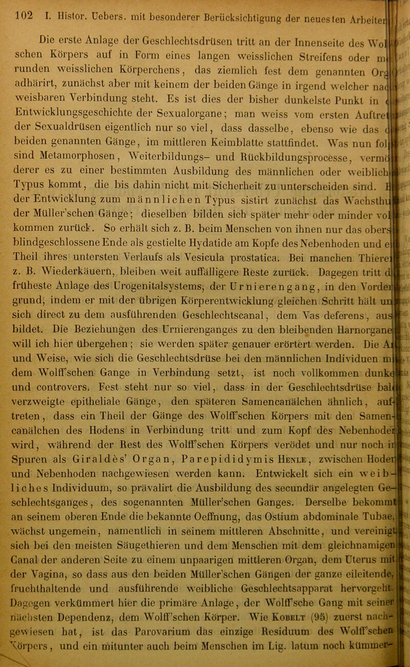 Die erste Anlage der Geschlechtsdrüsen tritt an der Innenseite des Wo sehen Körpei’s auf in Foi’in eines langen weisslichen Sti-eifens oder m runden weisslichen Köi’perchens, das ziemlich fest dem genannten Ori adhäi'irt, zunächst aber mit keinem der beiden Gänge in ii’gend welcher nac weisbaren Verbindung steht. Es ist dies der bisher dunkelste Punkt in ^ Entwicklungsgeschichte der Sexualoi’gane; man weiss vom ersten Aufti-e der Sexualdrüsen eigentlich nur so viel, dass dasselbe, ebenso wie das ( beiden genannten Gänge, im mittlei’en Keimblatte stattfindet. Was nun fol sind Metamorphosen, Weiterbildungs- und Rückbildungspi’ocesse, verm dei’er es zu einer bestimmten Ausbildung des männlichen oder weiblic Typus kommt, die bis dahin nicht mit Sicherheit zu unterscheiden sind, der Entwicklung zum männlichen Typus sistirt zunächst das Wachsth der Müller’schen Gänge; dieselben bilden sich später mehr oder minder vo kommen zurück. So erhält sich z. B. beim Menschen von ihnen nur das ober; blindgeschlossene Ende als gestielte Hydatide am Kopfe des Nebenhoden und e Theil ihres untersten Verlaufs als Vesicula prostatica. Bei manchen Thiere z. B. Wiederkäuern, bleiben weit auffälligere Beste zurück. Dagegen tritt früheste Anlage des Urogenitalsystems, der Urnierengang, in den Vorde grund, indem er mit der übrigen Körperentwicklung gleichen Schritt hält sich direct zu dem ausführenden Geschlechtscanal, dem Vas deferens, au bildet. Die Beziehungen des Urnierenganges zu den bleibenden Harnorgan will ich hier übergehen; sie werden später genauer erörtert werden. Die und Weise, wie sich die Geschlechtsdrüse bei den männlichen Individuen m dem Wolff”schen Gange in Verbindung setzt, ist noch vollkommen dunK und controvers. Fest steht nur so viel, dass in der Geschlechtsdrüse bal verzweigte epitheliale Gänge, den späteren Samencanälchen ähnlich, auf treten, dass ein Theil der Gänge des Wolffschen Körpers mit den Samen canälchen des Hodens in Verbindung tritt und zum Kopf des Nebenhode' wird, während der Rest des Wolff’schen Körpers verödet und nur noch i Spuren als Giraldes’ Organ, Parepididymis Henle, z\Nischen Hode und Nebenhoden nachgewiesen werden kann. Entwickelt sich ein weib liches Individuum, so prävalirt die Ausbildung des secundär angelegten G^ schlechtsganges, des sogenannten Müller’schen Ganges. Derselbe bekomm an seinem oberen Ende die bekannte Oeffnung, das Ostium abdominale Tubae wächst ungemein, namentlich in seinem mittleren Abschnitte, und vereinig sich bei den meisten Säugethieren und dem Menschen mit dem gleichnamigen Canal der anderen Seite zu einem unpaarigen mittleren Organ, dem Uterus mitj der Vagina, so dass aus den beiden Müller’schen Gängen der ganze eileitende fruchthaltende und ausführende weibliche Geschlechtsapparat hervorgeht Dagegen verkümmert hier die primäre Anlage, der WollTsche Gang mit sein näclisten Dependenz, dem Wolff ’schen Körper. Wie Kobblt (95) zuerst nac gewiesen hat, ist das Parovarium das einzige Residuum des Wolff’sche Körpers, und ein mitunter auch beim Menschen im Lig. latum noch kümmei •A'-’ ,'.^1 l»)i- iik' ■ 1-4.'.. ‘.Li^