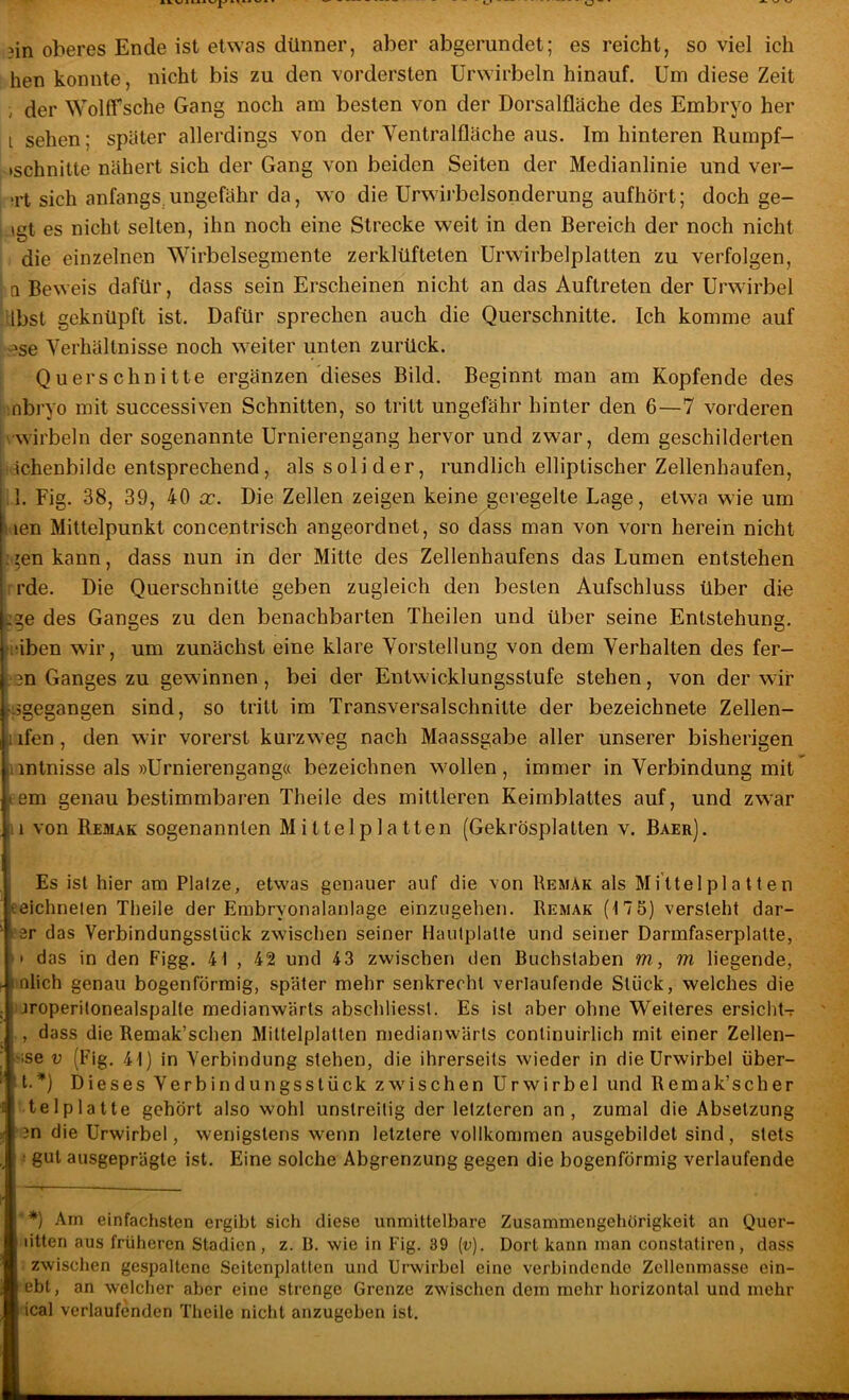 ^in oberes Ende ist etwas dünner, aber abgerundet; es reicht, so viel ich hen konnte, nicht bis zu den vordersten Urwirbeln hinauf. Um diese Zeit , der \YolfTsche Gang noch am besten von der Dorsalfläche des Embryo her i sehen; später allerdings von der Ventralfläche aus. Im hinteren Rumpf- »schnitte nähert sich der Gang von beiden Seiten der Medianlinie und ver- ■rt sich anfangs,ungefähr da, wo die Urwirbclsonderung aufhört; doch ge- igt es nicht selten, ihn noch eine Strecke weit in den Bereich der noch nicht die einzelnen Wirbelsegmente zerklüfteten Urwirbelplatten zu verfolgen, Q Beweis dafür, dass sein Erscheinen nicht an das Auftreten der Urwirbel Hbst geknüpft ist. Dafür sprechen auch die Querschnitte. Ich komme auf «^se Verhältnisse noch weiter unten zurück. Querschnitte ergänzen dieses Bild. Beginnt man am Kopfende des inbryo mit successiven Schnitten, so tritt ungefähr hinter den 6—7 vorderen vwirbeln der sogenannte Urnierengang hervor und zwar, dem geschilderten ijchenbilde entsprechend, als solider, rundlich elliptischer Zellenhaufen, il. Fig. 38, 39, 40 x. Die Zellen zeigen keine geregelte Lage, etwa wie um Kien Mittelpunkt concentrisch angeordnet, so dass man von vorn herein nicht i^enkann, dass nun in der Mitte des Zellenhaufens das Lumen entstehen rrde. Die Querschnitte geben zugleich den besten Aufschluss über die c^e des Ganges zu den benachbarten Theilen und über seine Entstehung, i-iben wir, um zunächst eine klare Vorstellung von dem Verhalten des fer- nen Ganges zu gewinnen, bei der Entwicklungsstufe stehen, von der wir ■isgegangen sind, so tritt im Transversalschnitte der bezeichnete Zellen- I ifen, den wir vorerst kurzweg nach Maassgabe aller unserer bisherigen imtnisse als »Urnierengang« bezeichnen wollen, immer in Verbindung mit fern genau bestimmbaren Theile des mittleren Keimblattes auf, und zw-ar II von Remak sogenannten Mittelplatten (Gekrösplatten v. Baer). Es ist hier am Platze, etwas genauer auf die von Remäk als Mi ttel pl a 11 e n eeichnelen Theile der Einbryonalanlage einzugehen. Remak (175) versieht dar- esr das Verbindungsstück zwischen seiner Hautplatte und seiner Darmfaserplatte, • das in den Figg. 41 , 42 und 43 zwischen den Buchstaben m, m liegende, polich genau bogenförmig, später mehr senkrecht verlaufende Stück, welches die uroperitonealspalte medianwärts abschliesst. Es ist aber ohne Weiteres ersicht-r , dass die Remak’schen Miltelplatlen medianwärts conlinuirlich mit einer Zellen- •ise V (Fig, 41) in Verbindung stehen, die ihrerseits wieder in die Urwirbel über- ‘t.*) Dieses Verbindungsstück zwischen Urwirbel und Remak’scher telplatte gehört also wohl unstreitig der letzteren an, zumal die Absetzung '3n die Urwirbel, wenigstens wenn letztere vollkommen ausgebildet sind, stets : gut ausgeprägte ist. Eine solche Abgrenzung gegen die bogenförmig verlaufende ' *) Am einfachsten ergibt sich diese unmittelbare Zusammengehörigkeit an Quer- I litten aus früheren Stadien, z. B. wie in Fig. 39 (v). Dort kann man constatiren, dass zwischen gespaltene Seitenplatten und Urwirbel eine verbindende Zellenmasse ein- [ ebt, an welcher aber eine strenge Grenze zwischen dem mehr horizontal und mehr ical verlaufenden Theile nicht anzugeben ist.