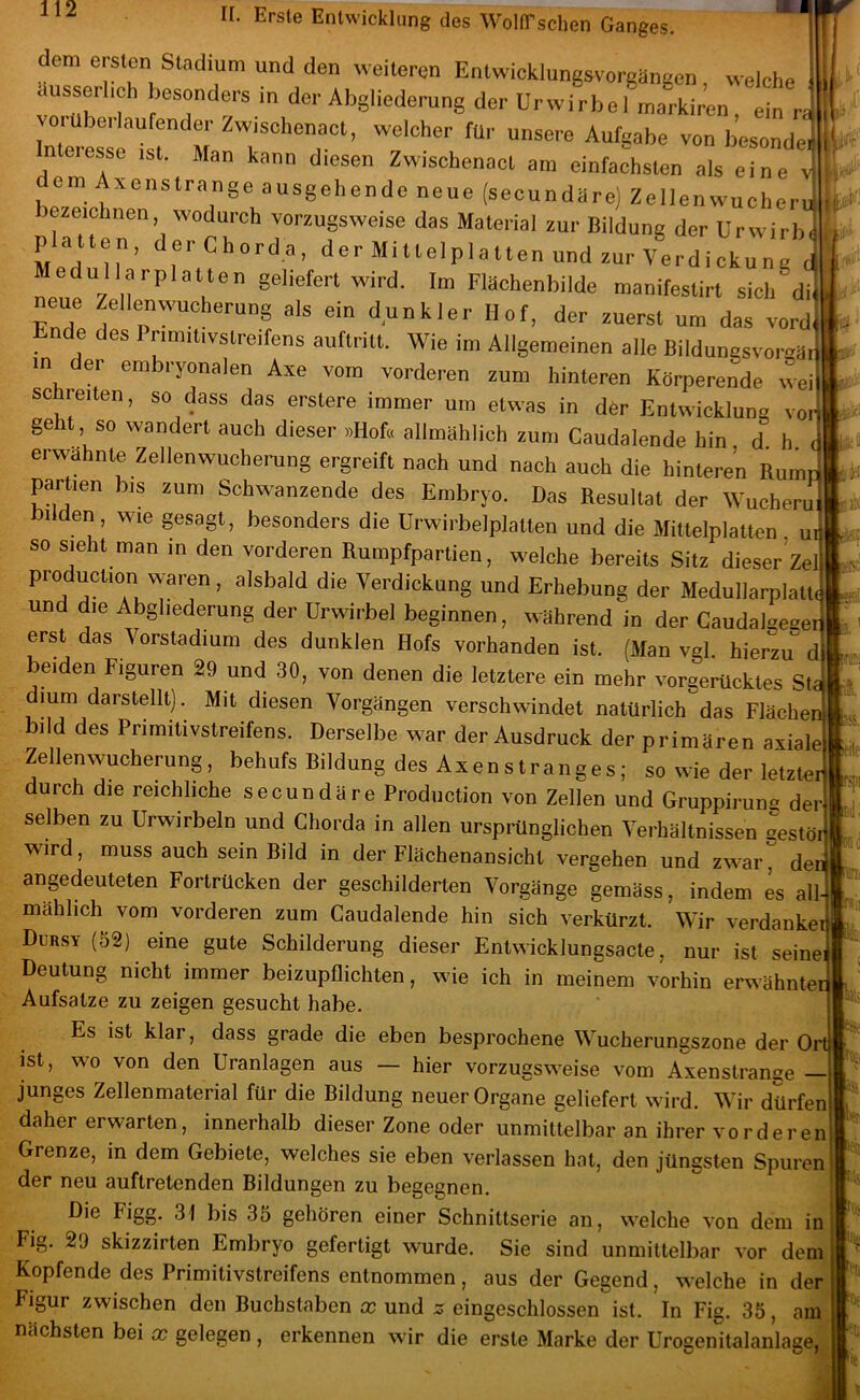 dem ersten Stadium und den weiteren Entwicklungsvorgiineen welche I ausserlioh besonders in der Abgliederung der ürwirbel tnarkiren ein rs esse ist. Man kann diesen ZwischenacL am einfachsten als eine v L ein A^enstrange ausgehende neue (secundare) Zellen wuchern i F bezeichnen wodurch vorzugsweise das Material zur Bildung der Urwirli platten, derChorda, der Mittelplatten und zur Verdickung d Medullarplatten geliefert wird. Im Flächenbilde manifestirt sich di neue Zellenwucherung als ein dunkler Hof, der zuerst um das vord Ende des Primit.vstreifens auftritt. Wie im Allgemeinen alle Bildungsvorgär in der embryonalen Axe vom vorderen zum hinteren Körperende wei schreiten, so dass das erstere immer um etwas in dör Entwicklung vo geht so wandert auch dieser »Hof« allmählich zum Caudalende hin d h erwähnte Zellenwuchemng ergreift nach und nach auch die hinteren Rumr Partien bis zum Schwanzende des Embryo. Das Resultat der Wucheru bilden, wie gesagt, besonders die Urwirbelplatten und die Mittelplatten ub so sieht man in den vorderen Rumpfpartien, welche bereits Sitz dieser’zel production waren, alsbald die Verdickung und Erhebung der Medullarplatt und die Abghederung der ürwirbel beginnen, während in der Caudake-e erst das Vorstadium des dunklen Hofs vorhanden ist. (Man vgl. hierzu d beiden Figuren 29 und 30, von denen die letztere ein mehr vorgerücktes St dium darstellt). Mit diesen Vorgängen verschwindet natürlich das Flächen bild des Primitivstreifens. Derselbe war der Ausdruck der primären axiale Zellenwucherung, behufs Bildung des Axenstranges; so wie der letzten durch die reichliche secundäre Production von Zellen und Gruppirung der selben zu Urwirbeln und Chorda in allen ursprünglichen Verhältnissen gestö wird, muss auch sein Bild in der Flächenansicht vergehen und zwar, dei angedeuteten Fortrücken der geschilderten Vorgänge gemäss, indem L all mählich vom vorderen zum Caudalende hin sich verkürzt. Wir verdanken Dursy (52) eine gute Schilderung dieser Entwicklungsacte, nur ist seineiL Deutung nicht immer beizupflichten, wie ich in meinem vorhin erwähnterI Aufsatze zu zeigen gesucht habe. I Es ist klar, dass grade die eben besprochene Wucherungszone der OrtI ist, wo von den Uranlagen aus — hier vorzugsweise vom Axenstrange J junges Zellen material für die Bildung neuer Organe geliefert wird. Wir dürfen daher erwarten, innerhalb dieser Zone oder unmittelbar an ihrer vorderen Grenze, in dem Gebiete, welches sie eben verlassen hat, den jüngsten Spuren der neu auftretenden Bildungen zu begegnen. Die Figg. 31 bis 35 gehören einer Schnittserie an, welche von dem in Fig. 29 skizzirten Embryo gefertigt wurde. Sie sind unmittelbar vor dem Kopfende des Primitivstreifens entnommen, aus der Gegend, welche in der Flfyilf ^ i • i ^ - _ _ Figur zwischen den Buchstaben x und eingeschlossen ist. loi. In Fig. 35, am nächsten bei m gelegen, erkennen wir die erste Marke der Urogenitalanlage