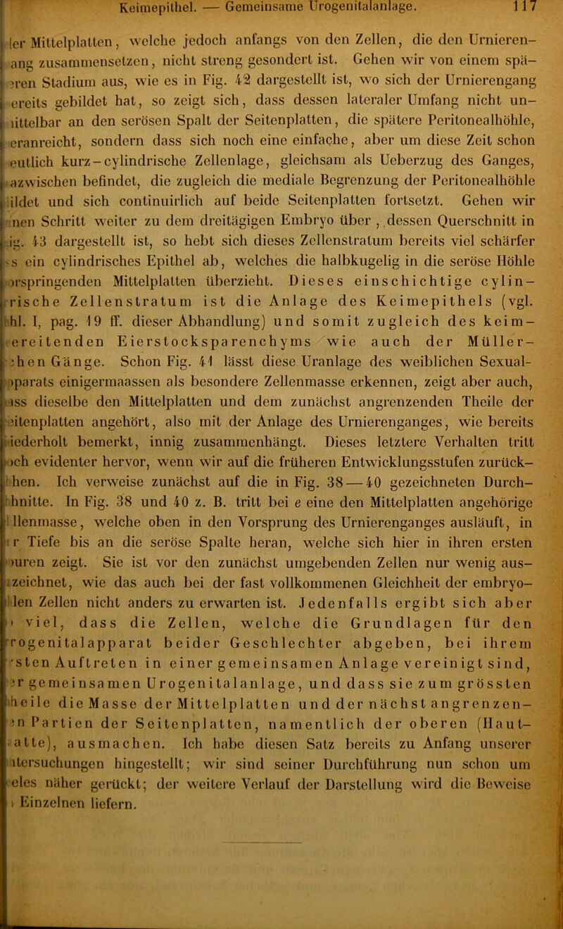|ler Mittelplatten, welche jedoch anfangs von den Zellen, die den Urnieren- I ang zusammensetzen, nicht streng gesondert ist. Gehen wir von einem spä- j 3ren Stadium aus, wie es in Fig. 42 dargestcllt ist, wo sich der Urnierengang ' ereits gebildet hat, so zeigt sich, dass dessen lateraler Umfang nicht un- littelbar an den serösen Spalt der Seitenplatten, die spätere Peritonealhöhle, ' eranreicht, sondern dass sich noch eine einfaqhe, aber um diese Zeit schon mitlich kurz-cylindrische Zellenlage, gleichsam als Ueberzug des Ganges, azwischen befindet, die zugleich die mediale Begrenzung der Peritonealhöhle ildet und sich continuirlich auf beide Seitenplatten fortsetzt. Gehen wir ncn Schritt weiter zu dem dreitägigen Embryo über , ,dessen Querschnitt in ig. 43 dargestellt ist, so hebt sich dieses Zellenstratum bereits viel schärfer 'S ein cylindrisches Epithel ab, welches die halbkugelig in die seröse Höhle )i-springenden Mittelplatten überzieht. Dieses einschichtige cylin- M’ische Zcllenstratum ist die Anlage des Keimepithels (vgl. !hl. 1, pag. 19 ff. dieser Abhandlung) und somit zugleich des keim- , ereitenden Eierstocksparenchyms wie auch der Müller- jhen Gänge. Schon Fig. 41 lässt diese Uranlage des weiblichen Sexual- i,)parats einigermaassen als besondere Zellenmasse erkennen, zeigt aber auch, iiss dieselbe den Mittelplatten und dem zunächst angrenzenden Theile der 'citenplatten angehört, also mit der Anlage des Urnierenganges, wie bereits iiiederholt bemerkt, innig zusammenhängt. Dieses letztere Verhalten tritt K)ch evidenter hervor, wenn wir auf die früheren Entwicklungsstufen zurück- I hen. Ich verweise zunächst auf die in Fig. 38 — 40 gezeichneten Durch- Ihnitte. In Fig. 38 und 40 z. B. tritt bei e eine den Mittelplatten angehörige nienmasse, welche oben in den Vorsprung des Urnierenganges ausläuft, in r Tiefe bis an die seröse Spalte heran, welche sich hier in ihren ersten I' )uren zeigt. Sie ist vor den zunächst umgebenden Zellen nur wenig aus- [/zeichnet, wie das auch bei der fast vollkommenen Gleichheit der embryo- ilen Zellen nicht anders zu erwarten ist. Jedenfalls ergibt sich aber '• viel, dass die Zellen, welche die Grundlagen für den rrogenitalapparat beider Geschlechter abgeben, bei ihrem •sten Auftreten in einer gemeinsamen Anlage vereinigt sind, 3r gemeinsamen Urogenitalanlage, und dass sie zum grössten 'heile die Masse der Mittelplatten und der nächst angrenzcn- Mi Partien der Seitenplattcn, namentlich der oberen (Ilaut- atte), ausmachen. Ich habe diesen Satz bereits zu Anfang unserer itcrsuchungen hingestellt; wir sind seiner Durchführung nun schon um des näher gerückt; der weitere Verlauf der Darstellung wird die Beweise I Einzelnen liefern.