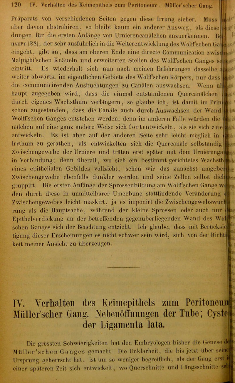 4 I El Präparats von verschiedenen Seilen gegen diese Irrung sicher. Muss aber davon abstrahiren, so bleibt kaum ein anderer Ausweg, als diese düngen für die ersten Anfänge von Urnierencanälchen anzuerkennen. B HAUPT (28), der sehr ausführlich in die Weiterentwicklung des WollPschen Ga eingeht, gibt an, dass am oberen Ende eine directe Communication zwis Malpighi’schen Knäueln und erweiterten Stellen des WollTschen Ganges s eintritt. Es wiederholt sich nun nach meinen Erfahrungen dasselbe ; weiter abwärts, im eigentlichen Gebiete des WollTschen Körpers, nur dass die communicirenden Ausbuchtungen zu Canälen auswachsen. Wenn Ü haupt zugegeben wird, dass die einmal entstandenen Quercanälchen durch eigenes Wachsthum verlängern, so glaube ich, ist damit im Prin schon zugestanden, dass die Canäle auch durch Auswachsen der Wand WollTschen Ganges entstehen werden, denn im anderen Falle würden die nälchen auf eine ganz andere Weise sich fortentwickeln, als sie sich zuejj entwickeln. Es ist aber auf der anderen Seite sehr leicht möglich in Irrthum zu gerathen, als entwickelten sich die Quercanäle selbständig Zwischengewebe der Urniere und träten erst später mit dem Urnierenga in Verbindung; denn überall, wo sich ein bestimmt gerichtetes Wachsth eines epithelialen Gebildes vollzieht, sehen wir das zunächst umgebe Zwischengewebe ebenfalls dunkler werden und seine Zellen selbst die gruppirt. Die ersten Anfänge der Sprossenbildung am WolOfschen Gange w den durch diese in unmittelbarer Umgebung stattfindende Veränderung Zwischengewebes leicht maskirt, ja es imponirt die Zwischengewebswuc rung als die Hauptsache, während der kleine Sprossen oder auch nur Epithelverdickung an der betreffenden gegenüberliegenden Wand des Wo sehen Ganges sich der Beachtung entzieht. Ich glaube, dass mit Berücksid tigung dieser Erscheinungen es nicht schwer sein wird, sich von der Richti keit meiner Ansicht zu überzeugen. ^1# l!ttl feil bil - m irtii 'ik IV. Verhalten des Keiinepithels zum Peritoiieui Mttller’sclier Gang. Nebenölfnnngen der Tube; Cyste der Ligamenta lata. Die grössten Schwierigkeiten hat den Embryologen bisher die Genese d Müllcr’schcn Ganges gemacht. Die Unklarheit, die bis jetzt über seine Ursprung geherrscht hat, ist um so weniger begreillich, als der Gang erst f einer späteren Zeit sich entwickelt, wo Querschnitte und Längsschnitlc s