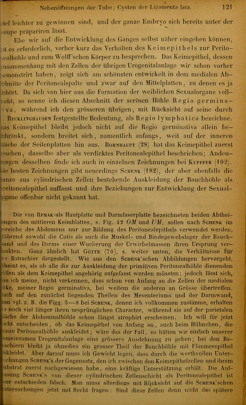 iel leichter zu gewinnen sind, und der ganze Embryo sich bereits unter der oupe präpariren lässt. Ehe wir auf die Entwicklung des Ganges selbst näher cingehen können, ;t es erforderlich, vorher kurz das Verhalten des Keimepithels zur Perito- ealhöhle und zum Wolff’schen Körper zu besprechen. Das Keimepithcl, dessen Msammenhang mit den Zellen der übrigen Urogenitalanlage wir schon vorher omonstrirt haben, zeigt sich am schönsten entwickelt in dem medialen Ab- :dmitte der Peritonealspaltc und zwar auf den Mittclplatten, zu denen es ja ' ehört. Da sich von hier aus die Formation der weiblichen Sexualorgane voll- elit, so nenne ich diesen Abschnitt der serösen Höhle Regio germina- va, w^ährend ich den grösseren übrigen, mit Rücksicht auf seine durch . Recklinghausen festgestellte Redeutung, als Regio lymphatica bezeichne. ,.as Keimepithel bleibt jedoch nicht auf die Regio germinativa allein be- hhränkt, sondern breitet sich, namentlich anfangs, weit auf der inneren läche der Seitenplatten hin aus. Rornhaupt (28) hat das Keimepithel zuerst r‘3sehen, dasselbe aber als verdicktes Peritonealepithel beschrieben; Andcu- jiiingen desselben finde ich auch in einzelnen Zeichnungen bei Kupffer (102). lue besten Zeichnungen gibt neuerdings Schenk (182), der aber ebenfalls die I mze aus cylindrischen Zellen bestehende Auskleidung der Rauchhöhle als 'crilonealepithel auffasst und ihre Reziehungen zur Entwicklung der Sexual- ggane offenbar nicht gekannt hat. Die von RF.MAK«als Hautplalle und Darmfaserplatte bezeichnelen beiden Abthei- nngen des mittleren Keimblattes, s. Fig. 42 Oil/und UM, sollen nach Schenk im •‘reiche des Abdomens nur zur Bildung des Perilonealepilbels verwendet werden, liäbrend sowohl die Cutis als auch die Muskel- und Bindegewebslager der Bauch- sand und des Darms einer Wucherung der Ürwirbelmassen ihren Ursprung ver- iimkten. Ganz ähnlich hat Götte (70), s. weiter unten, die Verhältnisse für 1*3 Batrachier dargestellt. Wie aus den ScHENK’schen Abbildungen hervorgeht, Iheint es, als ob alle die zur Auskleidung der primitiven Peritonealhöhle dienenden fallen als dem Keimepithel angehörig aufgefasst werden müssten; jedoch lässt sich, i'ie ich meine, nicht verkennen, dass schon von Anfang an die Zellen der medialen >'.ke, meiner Regio germinativa, bei weitem die anderen an Grösse übertreffen. 1 ich auf den zunächst liegenden Theilen des Mesenteriums und der Darmwand, ;ian vgl. z. B. die Figg. 5—8 bei Schenk, denen ich vollkommen zustimme, erhalten ‘3 noch viel länger ihren ursprünglichen Character, während sie auf der parietalen iäche der Abdominalhöhle schon längst atrophirt erscheinen. Ich will für jetzt cht entscheiden, ob das Keimepilhel von Anfang an, auch beim Hühnchen, die I uze Peritonealhöhle auskleidet; wäre das der Fall, so hätten wir einfach unserer nmeinsamen Urogenitalanlage eine grö.ssere Ausdehnung zu geben; bei den Ba- uchiern bleibt ja ohnedies ein grosser Thcil der Bauchhöhle mit Flirnmerepilhel ikleidet. Aber darauf muss ich Gewicht legen, dass durch die werlhvollen Unler- chungen Schenk’s der Gegensatz, den ich zwischen den Keimepilhelzelleii und ihrem ibstrat zuerst nachgewiesen habe, eine kräftige Unterstützung erhält. Die Auf- isung Schenk’s von dieser cylindrischen Zellenschicht als Peritonealepithel ist er entschieden falsch. Man muss allerdings mit Rücksicht auf die ScHENK’scben itersuchungen jetzt mit Recht fragen : Sind diese Zellen denn nicht das spätere