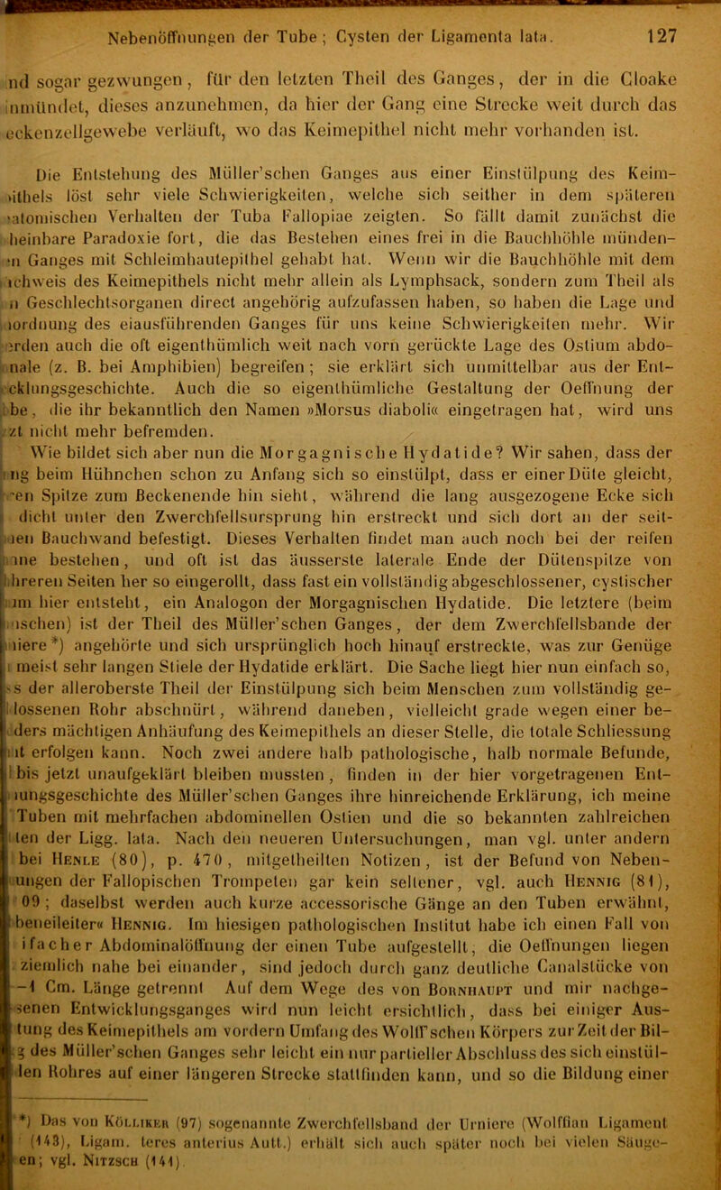 nd sogar gezwungen, für den letzten Theil des Ganges, der in die Gloake inmündel, dieses anzunehinen, da hier der Gang eine Strecke weit durch das eckenzellgewebe verläuft, wo das Keimepitliel nicht mehr vorlianden ist. Die Enlslehung des Müller’schen Ganges aus einer Einstülpung des Keim- Mthels löst sehr viele Schwierigkeiten, welche sich seither in dem späteren >atoniischen Verhalten der Tuba Fallopiae zeigten. So fällt damit zunächst die lieinbare Parado.xie fort, die das Bestehen eines frei in die Bauchhöhle miinden- ‘II Ganges mit Schleimhautepithel gehabt hat. Wenn wir die Bauchhöhle mit dem ichweis des Keimepithels nicht mehr allein als Lymphsack, sondern zum Theil als n Geschlechtsorganen direct angehörig aufzufassen haben, so haben die Lage und lordnung des eiausführenden Ganges für uns keine Schwierigkeiten mehr. Wir lirden auch die oft eigenthümlich weit nach vorn gerückte Lage des Ostium abdo- nale (z. B. bei Amphibien) begi-eifen ; sie erklärt sich unmittelbar aus der Ent- . cklungsgeschichte. Auch die so eigenlhümliche Gestaltung der Oeffnung der ;be, <lie ihr bekanntlich den Namen »Morsus diaboli« eingetragen hat, wird uns . zt nicht mehr befremden. Wie bildet sich aber nun die Morgagnische Hydatide? Wir sahen, dass der ! ng beim Hühnchen schon zu Anfang sich so einstülpt, dass er einer Düte gleicht, -en Spitze zum ßeckenende hin sieht, während die lang ausgezogene Ecke sich “ dicht unter den Zwerchfellsursprung hin erstreckt und sich dort an der seil- i Jen Bauchwand befestigt. Dieses Verhalten findet man auch noch bei der reifen ii.ine bestehen, und oft ist das äusserste laterale Ende der Dütenspilze von il hreren Seiten her so eingerollt, dass fast ein vollständig abgeschlossener, cystischer ! jm hier entsteht, ein Analogon der Morgagnischen Hydatide. Die letztere (beim ».'ischen) ist der Theil des Müller’schen Ganges, der dem Zwerchfellsbande der jiere^) angehörte und sich ursprünglich hoch hinauf erstreckte, was zur Genüge 1 meist sehr langen Stiele der Hydatide erklärt. Die Sache liegt hier nun einfach so, 'S der alleroberste Theil dei’ Einstülpung sich beim Menschen zum vollständig ge- lossenen Rohr abschnürl, während daneben, vielleicht grade wegen einer be- ders mächtigen Anhäufung des Keimepithels an dieser Stelle, die totale Schliessung iit erfolgen kann. Noch zwei andere halb pathologische, halb normale Befunde, 1 bis jetzt unaufgeklärt bleiben mussten, finden in der hier vorgetragenen Ent- I lungsgeschichte des Müller’schen Ganges ihre hinreichende Erklärung, ich meine Tuben mit mehrfachen abdominellen Oslien und die so bekannten zahlreichen i len der Ligg. lata. Nach deii neueren Untersuchungen, man vgl. unter andern I bei Henle (80), p. 470, mitgetheilten Notizen, ist der Befund von Neben- 'ungen der Eallopischen Trompeten gar kein seltener, vgl. auch Hennig (81), I 09 ; daselbst werden auch kurze accessorische Gänge an den Tuben erwähnt, I beneileiter« Hennig. Im hiesigen pathologischen Inslitut habe ich einen Fall von j i fache r Abdominalöffnung der einen Tube aufgeslellt, die OetVnungen liegen j ziemlich nahe bei einander, sind jedoch durch ganz deutliche Canalslücke von ■ -1 Cm. Länge getrennt Auf dem Wege des von Bohniiaupt und mir nachge- j-senen Entwicklung.sganges wird nun leicht ersichtlich, dass bei einiger Aus- 1 tung des Keimepithels am vordem Umfang des Wolirschen Körpers zur Zeit der Bil- kg des Müller’schen Ganges sehr leicht ein nur partieller Abschluss des sich einslül- ,Hen Rohres auf einer längeren Strecke slallfinden kann, und so die Bildung einer I; :— |L *) Das von KOi.ukku (97) sogenannte Zwei-clifellsbaiul der Urnicro (Wolftian Ligament 5(143), Ligani. leres anlerius Ault.) erliält sich aucli später nocli hei vielen Säuge- ^ en; vgl. Nixzscu (141).