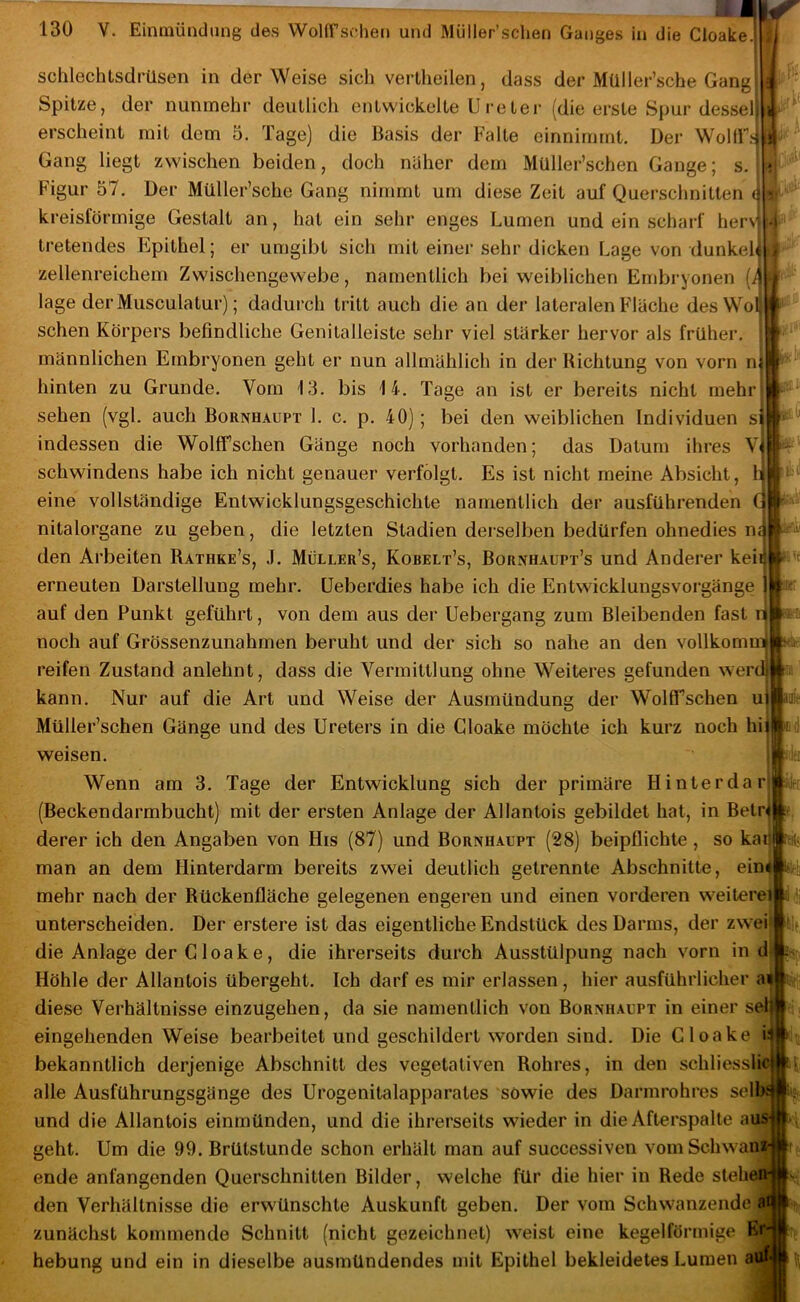 schlechtsdrüsen in der Weise sich vertlieilen, dass der Müller’sche Gang Spitze, der nunmehr deullicli entwickelte Ureter (die erste Spur dessel[ erscheint mit dem 5. Tage) die Basis der Falte einnimmt. Der WollFs Gang liegt zwischen beiden, doch näher dem MUller’schen Gange; s Figur 57. Der Müller’sche Gang nimmt um diese Zeit auf Querschnitten q kreisförmige Gestalt an, hat ein sehr enges Lumen und ein scharf herv tretendes Flpithel; er umgibt sich mit einer sehr dicken Lage von dunkeU zellenreichem Zwischengewebe, namentlich bei weiblichen Embryonen [A läge derMusculatur); dadurch tritt auch die an der lateralen Fläche des Wol sehen Körpers befindliche Genitalleiste sehr viel stärker hervor als früher, männlichen Embryonen geht er nun allmählich in der Richtung von vorn n« hinten zu Grunde. Vom 13. bis 14. Tage an ist er bereits nicht mehr sehen (vgl. auch Bornhaupt 1. c. p. 40); bei den weiblichen Individuen si indessen die Wolffschen Gänge noch vorhanden; das Datum ihres Vi Schwindens habe ich nicht genauer verfolgt. Es ist nicht meine Absicht, h eine vollständige Entwicklungsgeschichte namentlich der ausführenden GÄ nitalorgane zu geben, die letzten Stadien derselben bedürfen ohnedies n.11 den Arbeiten Rathke’s, J. Müller’s, Kobelt’s, Bornhaupt’s und Anderer keit if erneuten Darstellung mehr. Ueberdies habe ich die Entwicklungsvorgänge auf den Punkt geführt, von dem aus der Uebergang zum Bleibenden fast u noch auf Grössenzunahmen beruht und der sich so nahe an den vollkommj dass die Vermittlung ohne Weiteres gefunden werdi' der Wolff’schen ui I Müller’schen Gänge und des Ureters in die Gloake möchte ich kurz noch hii weisen. . Wenn am 3. Tage der Entwicklung sich der primäre Hinter dar! (Beckendarmbucht) mit der ersten Anlage der Allantois gebildet hat, in Betr< derer ich den Angaben von His (87) und Bornhaupt (28) beipflichte, so kai; man an dem Hinterdarm bereits zwei deutlich getrennte Abschnitte, ein« mehr nach der Rückenfläche gelegenen engeren und einen vorderen weiterei unterscheiden. Der erstere ist das eigentliche Endstück des Darms, der zwei' die Anlage der Gloake, die ihrerseits durch Ausstülpung nach vorn in d- Höhle der Allantois übergeht. Ich darf es mir erlassen , hier ausführlicher ai diese Verhältnisse einzugehen, da sie namentlich von Bornhaupt in einer seif eingehenden Weise bearbeitet und geschildert worden sind. Die Gloake ü bekanntlich derjenige Abschnitt des vegetativen Rohres, in den schliesslic alle Ausführungsgänge des Urogenitalapparates sowie des Darmrohres selbs und die Allantois einmünden, und die ihrerseits wieder in die Afterspalte aus geht. Um die 99. Brütstunde schon erhält man auf successiven vom Schwan ende anfangenden Querschnitten Bilder, welche für die hier in Rede stnhei den Verhältnisse die erwünschte Auskunft geben. Der vom Schwanzende ai zunächst kommende Schnitt (nicht gezeichnet) w'eist eine kegelförmige E hebung und ein in dieselbe ausmündendes mit Epithel bekleidetes Lumen a reifen Zustand anlehnt. kann. Nur auf die Art und Weise der Ausmündung 'ja