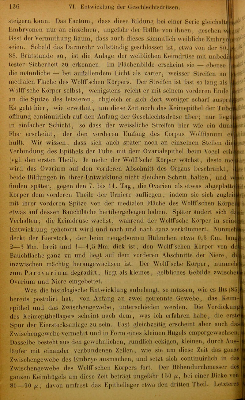 steigern kann. Das Factum, dass diese Bildung bei einer Serie gleichalt Embryonen nur an einzelnen, ungefähr der Hälfte von ihnen, gesehen v lässt der Vermuthung Raum, dass auch dieses sämmtlich weibliche Embry seien. Sobald das Darmrohr vollständig geschlossen ist, etwa von der 80 88. Brütstunde an, ist die Anlage der weiblichen Keimdrüse mit unbedi] tester Sicherheit zu erkennen. Im Flächenbilde erscheint sie — el)cnso die männliche — bei aufTallendem Licht als zarter, weisser Streifen an medialen Fläche des WollT’schen Körpers. Der Streifen ist fast so lang als VVolfT’sche Körper selbst, wenigstens reicht er mit seinem vorderen Ende an die Spitze des letzteren, obgleich er sich dort weniger scharf auspri Es geht hier, wie erwähnt, um diese Zeit noch das Keiinepithel der Tub Öffnung continuirlich auf den Anfang der Geschlechtsdrüse über; nur lieg in einfacher Schicht, so dass der weissliche Streifen hier wie ein dün Flor erscheint, der den vorderen Umfang des Corpus Wolffianum e hüllt. Wir wissen, dass sich auch später noch an einzelnen Stellen di Verbindung des Epithels der Tube mit dem Ovarialepithel beim V^ogel erh! (vgl. den ersten Theil). Je mehr der Wolff’sche Körper wächst, desto m wird das Ovarium auf den vorderen Abschnitt des Organs beschränkt, beide Bildungen in ihrer Entwicklung nicht gleichen Schritt halten, und finden später, gegen den 7. bis 1 1. Tag, die Ovarien als etwas abgeplatt Körper dem vorderen Theile der Urniere aufUegen, indem sie sich zuglei mit ihrer vorderen Spitze von der medialen Fläche des Wolff’schen Körpel etwas auf dessen Bauchfläche herübergebogen haben. Später ändert sich d Verhalten; die Keimdrüse wächst, während dei‘WolfTsche Körper in sein Entwicklung gehemmt wird und nach und nach ganz verkümmert. Nuume deckt der Eierstock, der beim neugebornen Hühnchen etwa 0,5 Cm. lan 2—3 Mm. breit und 1—1,5 Mm. dick ist, den Wolff’schen Körper von d Bauchfläche ganz zu und liegt auf dem vorderen Abschnitte der Niere, di| inzwischen mächtig herangewachsen ist. Der Wolff’sche Körper, nunme zum Parova rillm degradirt, liegt als kleines , gelbliches Gebilde zwische Ovarium und Niere eingebettet. Was die histologische Entwicklung anbelangt, so müssen, wie es His (85 bereits postulirt hat, von Anfang an zwei getrennte Gewebe, das Keim epithel und das Zwischengewebe, unterschieden werden. Die Verdickun des Keimepithellagers scheint nach dem, was ich erfahren habe, die ers Spur der Eierstocksanlage zu sein. Fast gleichzeitig erscheint aber auch da Zwischengewebe vermehrt und in Form eines kleinen Hügels emporgewachsen Dasselbe besteht aus den gewöhnlichen, rundlich eckigen, kleinen, durch Aus- läufer mit einander verbundenen Zellen, wie sie um diese Zeit das ganz^ Zwischengewebe des Embryo ausmachen, und setzt sich continuirlich in Zwischengewebe des Wolff’schen Körpers fort. Der Höhendurchmesser d ganzen Keimhügels um diese Zeit beträgt ungelähr 150 |U, bei einer Dicke vo 80—90 f.i \ davon umfasst das Epithcllager etwa den dritten Theil. Letztere ai): ..vK ifift'“ ir>- Afk UW '»ir.'i PS!^ daS]