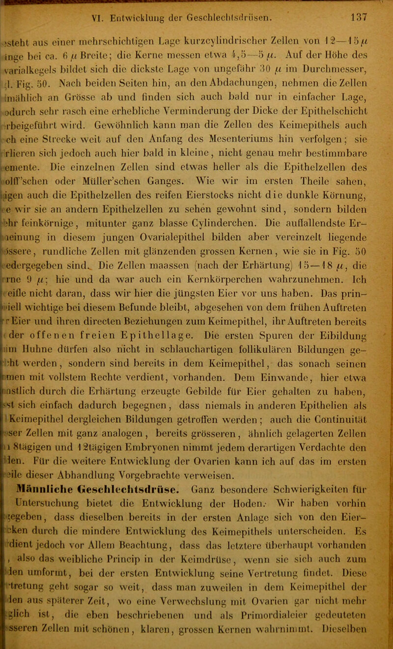 jsteht aus einer rriehrsehichtigen Lage kurzcylindrischer Zellen von 12— inge bei ca. () Breite; die Kerne messen etwa 4,ö—5 f.L. Auf der Höhe des varialkegels bildet sich die dickste Lage von ungefähr 30 {.i ini Durchmesser, 1, Fig. 50. Nach beiden Seiten hin, an den Abdachungen, nehmen die Zellen imählich an Grösse ab und finden sich auch bald nur in einfacher Lage, odurch sehr rasch eine erhebliche Verminderung der Dicke der Epithelschicht •rbeigeführt wird. Gewöhnlich kann man die Zellen des Keimepithels auch ch eine Strecke weit auf den Anfang des Mesenteriums hin verfolgen; sie rlieren sich jedoch auch hier bald in kleine, nicht genau mehr bestimmbare emente. Die einzelnen Zellen sind etwas heller als die Epithelzellen des . olfl’’schen oder Müller’schen Ganges. Wie wir im ersten Theile sahen, ägen auch die Epithelzellen des reifen Eierstocks nicht die dunkle Körnung, ~ e wir sie an andern Epithelzellen zu sehen gewohnt sind, sondern bilden Vehr feinkörnige, mitunter ganz blasse Cylinderchen. Die auffallendste Er- ’ leinung in diesem jungen Ovarialepithel bilden aber vereinzelt liegende össere, rundliche Zellen mit glänzenden grossen Kernen, wie sie in Fig. 30 edergegeben sind.. Die Zellen maassen (nach der Erhärtung) 13 — 18 die rne 9 f.i] hie und da war auch ein Kernkörperchen wahrzunehmen. Ich eifle nicht daran, dass wir hier die jüngsten Eier vor uns haben. Das prin- •i>iell wichtige bei diesem Befunde bleibt, abgesehen von dem frühen Auftreten f' rEier und ihren directen Beziehungen zum Keimepithel, ihr Auftreten bereits ( der offenen freien Epithellage. Die ersten Spuren der Eibildung yiim Huhne dürfen also nicht in schlauchartigen follikulären Bildungen ge- . ‘ht werden, sondern sind bereits in dem Keimepithel, das sonach seinen Vmen mit vollstem Rechte verdient, vorhanden. Dem Einwande, hier etwa iifistlich durch die Erhärtung erzeugte Gebilde für Eier gehalten zu haben, i|><st sich einfach dadurch begegnen, dass niemals in anderen Epithelien als l) Keimepithel dergleichen Bildungen getroffen werden; auch die Gontinuität t ser Zellen mit ganz analogen, bereits grösseren, ähnlich gelagerten Zellen ! 1 8tägigen und 12tägigen Embryonen nimmt jedem derartigen Verdachte den Hen. Für die weitere Entwicklung der Ovarien kann ich auf das im ersten eile dieser Abhandlung Vorgebrachte verweisen, i Männliche Geschlechtsdrüse. Ganz besondere Schwierigkeiten für Untersuchung bietet die Entwicklung der Hoden.- Wir haben vorhin gegeben, dass dieselben bereits in der ersten Anlage sich von den Eiei- cken durch die mindere Entwicklung des Keimepithels unterscheiden. F]s dient jedoch vor Allem Beachtung, dass das letztei’c überhaupt vorhanden also das weibliche Princip in der Keimdrüse, wenn sie sich auch zum 'ien umformt, bei der ersten Entwicklung seine Vertretung findet. Diese •tretung geht sogar so weit, dass man zuweilen in dem Keimepithel der ien aus späterer Zeit, wo eine Verwechslung mit Ovarien gar nicht mehr glich ist, die eben beschriebenen und als Primordialcier gedeuteten sseren Zelten mit schönen, klaren, grossen Kernen wahrniniml. Dieselben