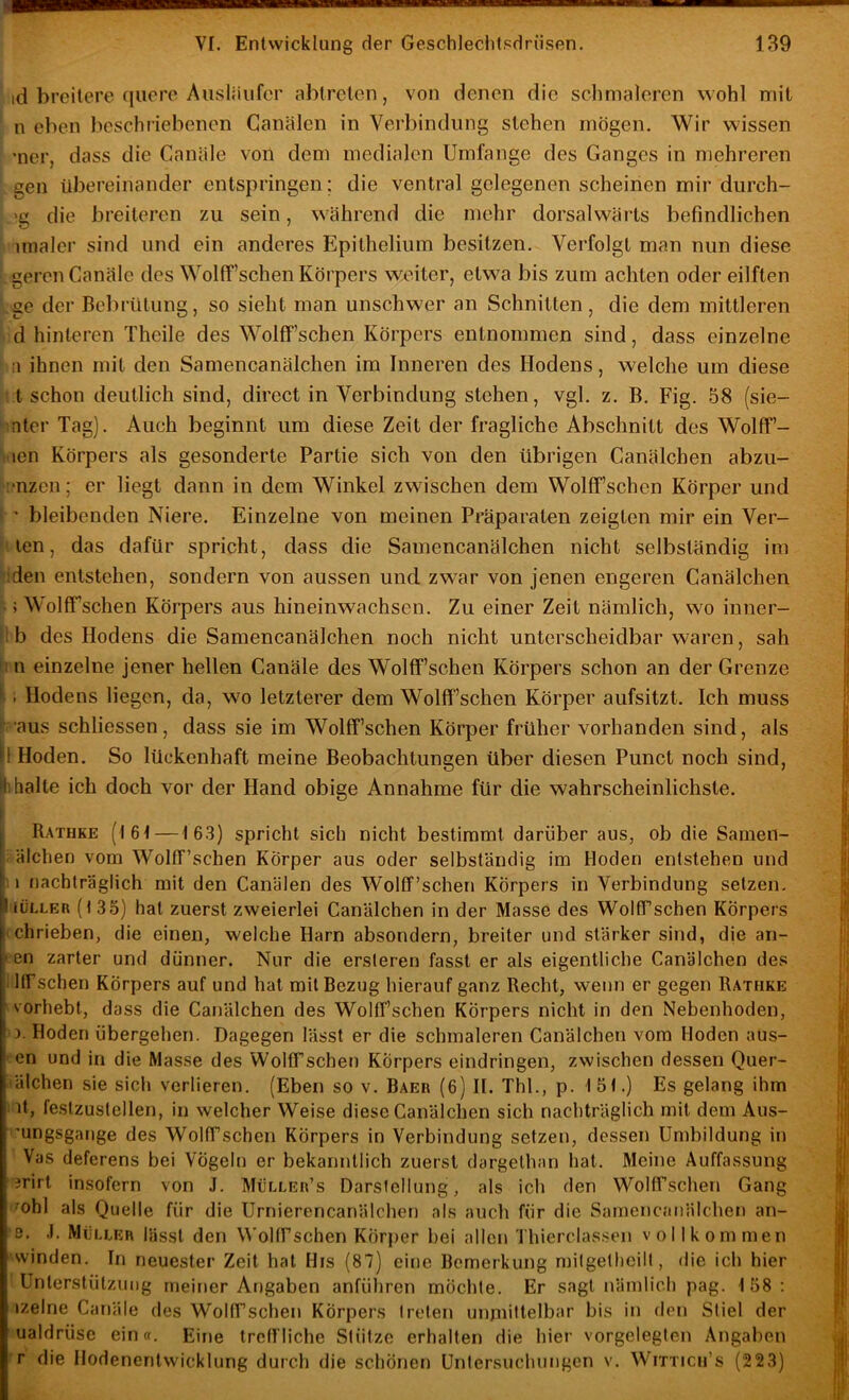 id breitere quere Ausliiiifcr abtreten, von denen die schmaleren wohl mit n eben beschriebenen Canälen in Verbindung stehen mögen. Wir wissen •ner, dass die Canäle voii dem medialen Umlange des Ganges in mehreren gen übereinander entspringen; die ventral gelegenen scheinen mir durch- >g die breiteren zu sein, während die mehr dorsalwärts befindlichen imaler sind und ein anderes Epithelium besitzen. Verfolgt man nun diese geren Canäle des Wollf’schen Körpers weiter, etwa bis zum achten oder eilften ge der Bcbilitung, so sieht man unschwer an Schnitten, die dem mittleren d hinteren Theile des Wolff’schen Körpers entnommen sind, dass einzelne a ihnen mit den Samencanälchen im Inneren des Hodens, welche um diese . t schon deutlich sind, direct in Verbindung stehen, vgl. z. B. Fig. 58 (sie- ;nter Tag). Auch beginnt um diese Zeit der fragliche Abschnitt des Wolff- i'ien Körpers als gesonderte Partie sich von den übrigen Canälchen abzu- '•nzen; er liegt dann in dem Winkel zwischen dem Wolff’schcn Körper und i ’ bleibenden Niere. Einzelne von meinen Präparaten zeigten mir ein Ver- . len, das dafür spricht, dass die Samencanälchen nicht selbständig im iden entstehen, sondern von aussen und zwar von jenen engeren Canälchen -; Wolffschen Körpers aus hineinwachsen. Zu einer Zeit nämlich, wo inner- '!b des Hodens die Samencanälchen noch nicht unterscheidbar waren, sah h n einzelne jener hellen Canäle des Wolff’schen Körpers schon an der Grenze ^; Hodens liegen, da, wo letzterer dem Wolff’schen Körper aufsitzt. Ich muss r aus schliessen, dass sie im Wolff’schen Körper früher vorhanden sind, als h Hoden. So lückenhaft meine Beobachtungen über diesen Punct noch sind, fii halte ich doch vor der Hand obige Annahme für die wahrscheinlichste. 1 Rathke (I6f—163) spricht sich nicht bestimmt darüber aus, ob die Samen- : älchen vom Wolff’schen Körper aus oder selbständig im Hoden entstehen und 1 j nachträglich mit den Canälen des Wolff’schen Körpers in Verbindung setzen, i iüLLER (135) hat zuerst zweierlei Canälchen in der Masse des Wolff’schen Körpers |(chrieben, die einen, welche Harn absondern, breiter und stärker sind, die an- I en zarter und dünner. Nur die ersteren fasst er als eigentliche Canälchen des ilffschen Körpers auf und hat mit Bezug hierauf ganz Recht, wenn er gegen Rathke ' vorhebt, dass die Canälchen des Wolff’schen Körpers nicht in den Nebenhoden, o. Hoden übergehen. Dagegen lässt er die schmaleren Canälchen vom Hoden aus- ven und in die Masse des WolfTschen Körpers eindringen, zwischen dessen Quer- iälchen sie sich verlieren. (Eben so v. Baer (6) II. Thl., p. f5f.) Es gelang ihm iit, feslzustellen, in welcher Weise diese Canälchen sich nachträglich mit dem Aus- '’ungsgange des Wolff’schen Körpers in Verbindung setzen, dessen Umbildung in Vas deferens bei Vögeln er bekanntlich zuerst dargethan hat. Meine Auffassung 3rirt insofern von J. Müller’s Darstellung, als ich den WolfTschen Gang mhl als Quelle für die Urnierencanälchen als auch für die Samencanälchen an- '9. .1. Müller lässt den \^'olt^schen Körper bei allen Thierclas.sen vol Ikommen winden. In neuester Zeit hat His (87) eine Bemerkung mitgethcill, die ich hier Unterstützung meiner Angaben anführen möchte. Er sagt nämlich pag. 158; izelne Canäle des WolfTschen Körpers treten unjnittelbar bis in den Stiel der ualdrüse ein«. Eine treffliche Stütze erhalten die hier vorgelegten Angal)en r die Hodenentwicklung durch die schönen ünlersuchungen v. Wittich’s (223)