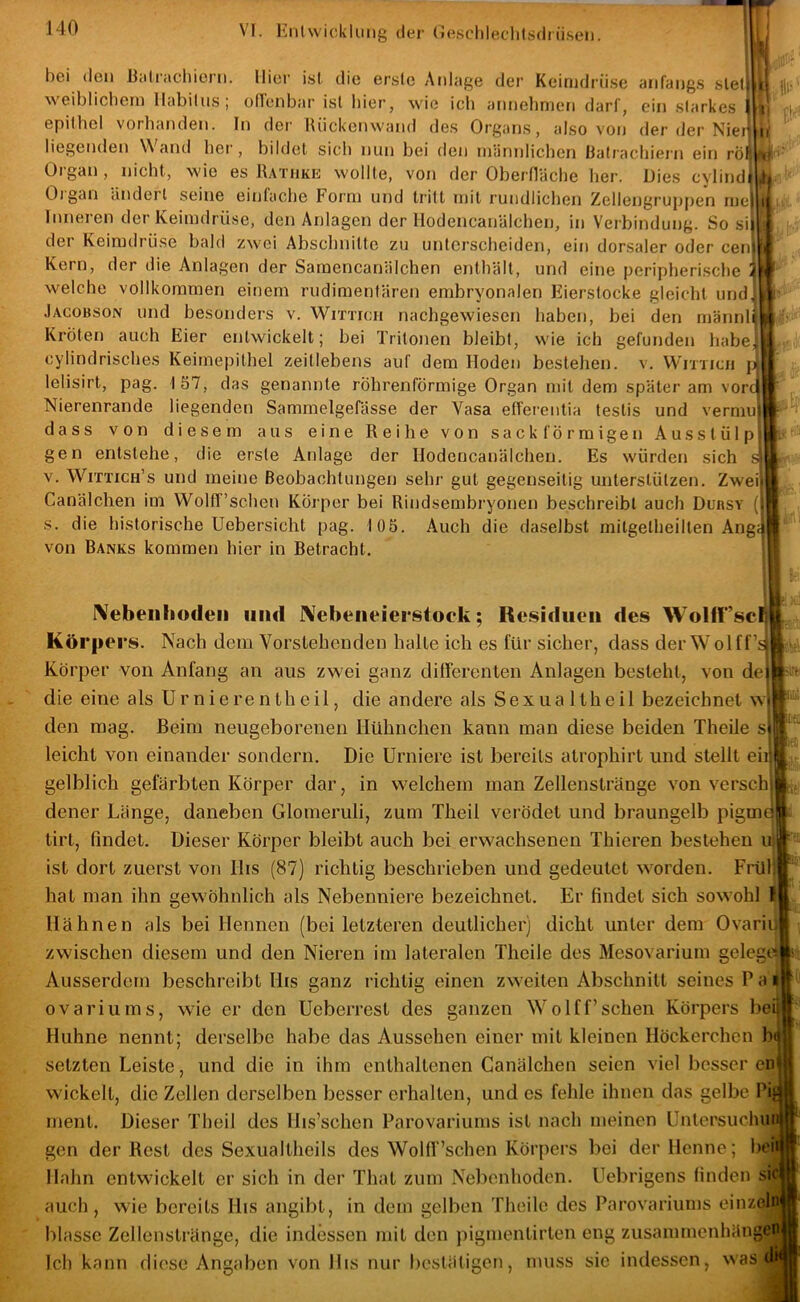 1 ^1} l1, n bei (len Batiacliiern. liier ist die erste Anlage der Keimdrüse anfangs slet| | weiblichem Habitus ; olTonbar ist liier, wie ich annelimen darf, ein starkes | epithel vorhanden. In der lUickenwand des Organs, also von der der Nier liegenden Wand her, bildet sieb nun bei den männlichen Bali'achiern ein röl Organ , nicht, wie es Bathke wollte, von der Oberfläche her. Dies cylindr Oigan ändert seine einfache Form und tritt mit rundlichen Zellengruppen me( Inneien der Keimdrüse, den Anlagen der Hodencanälchen, in Verbindung. So si der Keimdrüse bald zwei Abschnitte zu unterscheiden, ein dorsaler oder cen Kern, der die Anlagen der Saraencanälchen enthält, und eine peripheri.sche i i welche vollkommen einem rudimentären embryonalen Eierstocke gleicht und; Jacobson und besonders v. Wittich nachgewiesen haben, bei den rnännli Kröten auch Eier entwickelt; bei Tritonen bleibt, wie ich gefunden habe, cylindrisches Keimepithel zeitlebens auf dem Hoden bestehen, v. Wrrncji p lelisirt, pag. 157, das genannte röhrenförmige Organ mit dem später am vorej Nierenrande liegenden Sammelgerässe der Vasa efl'ei-entia testis und vermu|’ dass von diesem aus eine Reihe von sackförmigen Ausstülpi gen entstehe, die erste Anlage der Hodencanälchen. Es würden sich si V. Wittich’s und meine Beobachtungen sehr gut gegenseitig unterstützen. Zweit Canälchen im WolfTschen Körper bei Rindsembryonen beschreibt auch Dühsy (li s. die historische Uebersicht pag. 105. Auch die daselbst mitgelheilten Anga von Banks kommen hier in Betracht, ^ IVebeiiliodeii mul J\ebeiieierstock; Residiit‘ii des Wolirscfi Körpers. Nach dem A^orstehenden halle ich es für sicher, dass der Wolf f’si Körper von Anfang an aus zwei ganz differenten Anlagen besieht, von dej die eine als U r n i e re n th eil, die andere als Sex ua Ith eil bezeichnet w« den mag. Beim neugeborenen Hühnchen kann man diese beiden Theile s| leicht von einander sondern. Die Urniere ist bereits atrophirt und stellt eir gelblich gefärbten Körper dar, in welchem man Zellenstränge von verschj| dener Länge, daneben Glomeruli, zum Theil verödet und braungelb pigmq tirt, findet. Dieser Körper bleibt auch bei erwachsenen Thieren bestehen u| ist dort zuerst von His (87) richtig beschrieben und gedeutet vvorden. Frül) hat man ihn gewöhnlich als Nebenniere bezeichnet. Er findet sich sowohl I Hähnen als bei Hennen (bei letzteren deutlicher) dicht unter dem Ovariili zwischen diesem und den Nieren im lateralen Theile des Mesovarium gelegcs Ausserdem beschreibt His ganz richtig einen zweiten Abschnitt seines P a ill' ovariums, wie er den Ueberrest des ganzen Wolff’sehen Körpers beij' Huhne nennt; derselbe habe das Aussehen einer mit kleinen Höckerchen b iiij; !t0 setzten Leiste, und die in ihm enthaltenen Canälchen seien viel besser cn| wickelt, die Zellen derselben besser erhallen, und es fehle ihnen das gelbe PiE ment. Dieser Theil des Hrs’schen Parovariums ist nach meinen Unlersuchiu gen der Best des Sexualtheils des Wolff’schen Körpers bei der Henne; l>ei^ Hahn entwickelt er sich in der Thal zum Nebenhoden. Uebrigens finden auch, wie bereits His angibt, in dem gelben Theile des Parovariums einzeln blasse Zellenstränge, die indessen mit den pigmentirten eng zusammenhäng^ lestätigcn, muss sic indessen, was Ich kann diese Angaben von llis nur