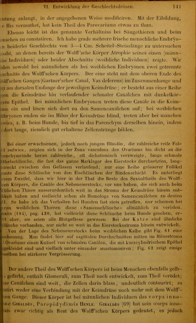 iitung anlangt j in der angegebenen Weise modificiren. Mit der Eibildung, e llis vermiithet, hat kein Theil des Parovariutns etwas zu thun. Ebenso leicht ist das genannte Verhältniss bei Säugethieren und beim •nschen zu constatiren. Ich habe grade mehrere frische menschlicheEmbryo- n beiderlei Geschlechts von 3—4 Gm. Scheitel-Steisslänge zu untersuchen labt, an denen bereits der Wolff’sche Körper Atrophie seines einen (männ- Lte Individuen) oder beider Abschnitte (weibliche Individuen) zeigte. Wir den sowohl bei männlichen als bei weiblichen Embryonen zwei getrennte schnitte des Wolft’schen Körpers. Der eine steht mit dem oberen Ende des )lll'schen Ganges (Gartner’scher Canal, Vas deferens) im Zusammenhänge und 't am dorsalen Umfange der jeweiligen Keimdrüse ; er besteht aus einer Reihe ;en die Keimdrüse hin verlaufender schmaler Ganälchen mit dunkelkör- ,,em Epithel. Bei männlichen Embryonen treten diese Canäle in die Keim- i'ise ein und lösen sich dort zu den Samencanälchen auf; bei weiblichen ilibryonen enden sie im Hilus^der Keimdrüse blind, treten aber bei manchen ?cies, z. B. beim Hunde, bis tief in das Parenchym derselben hinein, indem , dort lange, ziemlich gut erhaltene Zellenstränge bilden. Bei einer erwachsenen, jedoch noch jungen Hündin, die zahlreiche reife Fol- ^i l aufwies, zeigten sich in der Zona vasculosa des Ovariums bis dicht an die enchymrinde heran zahlreiche, oft dichotomisch verzweigte, lange schmale Ihelschläuche, die fast das ganze Marklager des Eierstocks durchsetzten, lang- 1> treckt zwischen den Gefässen verlaufend; nur eine Reihe grösserer Follikel i inte diese Schläuche von den Eischläuchen der Rindenschicht. Es unterliegt I lem Zweifel, dass wir hier in der That die Reste des Sexuallheils des Wolfl - ten Körpers, die Canäle des Nebeneierstocks, vor uns haben, die sich auch beim l blichen Thiere ausserordentlich weit in das Stroma der Keimdrüse hinein ent- kkelt haben und vielleicht schon als Homologa von Samencanälchen zu deuten 11. So habe ich das Verhalten bei Hunden fast stets getrotfen, nur scheinen bei I ren weiblichen Thieren diese »Samenschläuche« allmählich zu veröden. »RÖN (184), pag. 420, hat vielleicht diese Schläuche beim Hunde gesehen, er- t’l aber, sie seien alle Blutgefässe gewesen. Bei der Katze sind ähnliche l läuche vorhanden, nur nicht so weit in das Eierstocksstroma hinein entwickelt. Von der Lage des Nebeneierstocks beim weiblichen Kalbe gibt Fig. 61 eine tichauung. Man findet hier auf sagittalen Durchschnitten mitten im Hilusstroma ‘ Ovariums einen Knäuel von schmalen Canälen, die mit kurzcylindrischem Epithel -■gekleidet sind urid vielfach unter einander anastomosiren ; Fig. 62 zeigt einige 'Selben bei stärkerer Vergrösserung. Der andere Theil des WoKf sehen Körpers ist beim Menschen ebenfalls gelb- I gefärbt, enthält Glorneruli, zum Theil noch entwickelt, zum Theil verödet; le Ganälchen sind weit, die Zellen darin blass, undeutlich contourirt; es stirt weder eine Verbindung mit der Keimdrüse noch mehr mit dem WolÜ - en Gange. Dieser Körper ist bei männlichen Individuen das corps inno- ne GiRALijfes, Parepidydi mis IIenlk. GiRALuks (69) hat sein »corps inno- )6« zwar richtig als Rest des Wolff’schen Körpers gedeutet, es jedoch