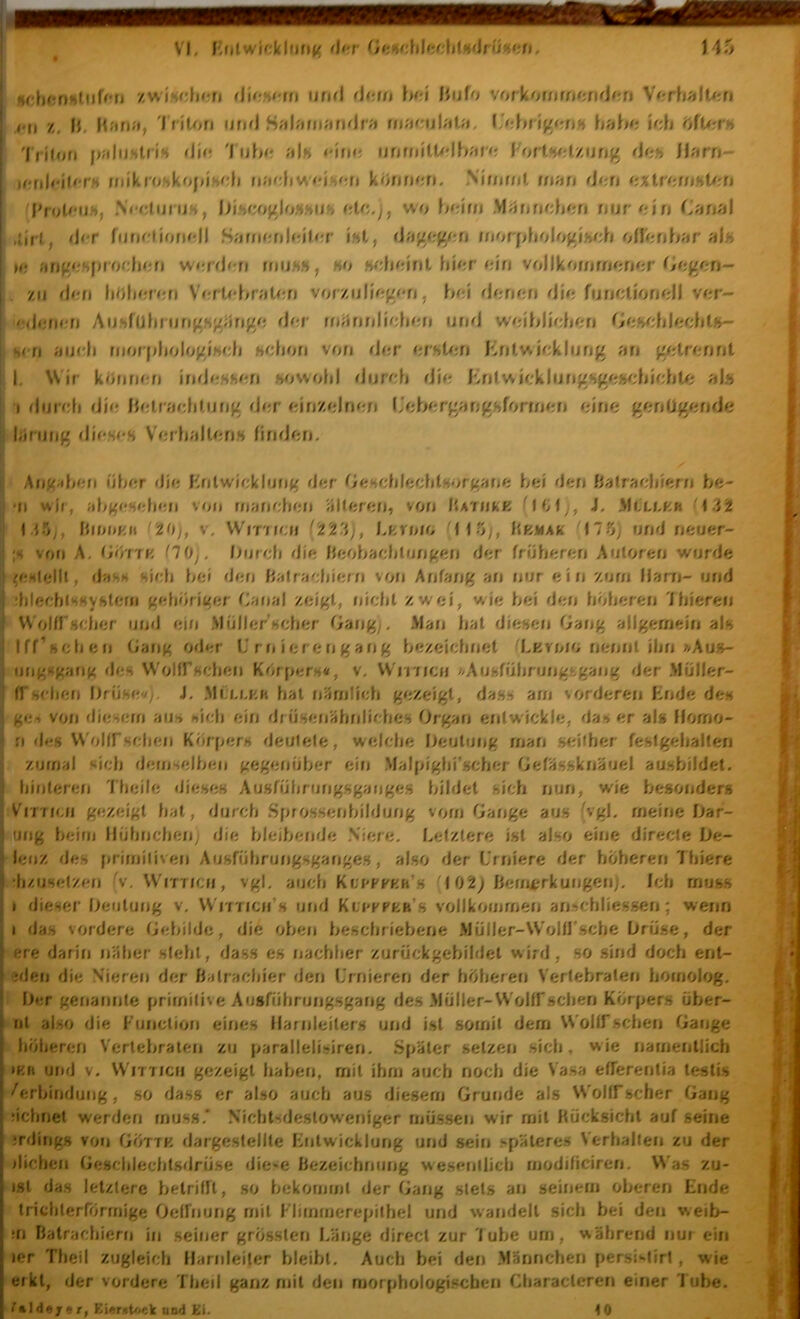 1 nchttntiUiU’U zwI«r4i»rn (lUtufin iinrl h<4 iUifo vorkornrn^jrirlon \(•rhn\U‘,u : vu z. IJ. 'I nU>n lin^J Sa);»m?irirJr?» maculaUj, hah#; »ch i 'I rUori palijhlns 'I uh«; al« cifut ufniitWtlbuta I5;rt<^;l.ziifi^ ilarn- ic.uU‘\U’rH nnkrof»ko(>iV!h nac}iw<*is<;n k<)nn<;n. S'mimt rrmn dori i ProU'ijh, Ni'cluni«, l)i'hf;o}:)o».H(ih fjlc.y, wo hoioi Mjinrichori nur (‘in Canal I .ii'rt, <J<*r funrtioforll Sano-nloifor ist, dagoji/;n fnorphologjwd» ollonhar alh ; »<; angohprodion wordon mu«», ho H/dioirit hior oin voDko/nrnonor Cogon- L zu dofi liOlioron VorP*bralon vorzu(iog/*n, hoi donon dio fijrictj'orio)l vor- odofuu) AuHfUhi uri(^H;/;}rigo dor ffuinnMohon und woihliohon CoHohlochtH- ! Hi ll nurli r/iorplioloKmdi Hchon von dor nrfilnu Cntwjoklung an gotronnt j I, Wir kPnrion IndoHHon Howohl duroh dio Knlwjc'klungHgojKdndiUi aln I I flurdi dIo Ilotraohl.ung dor olnzolrion Coborgangsfortnon oino gonügonde larung diosos Vorhallonn Hndon. SuVtAmn ühor dio Knlwlcklung dor OoHohlocbtHorgano hol den ftatraolilorn ho- •n wir, ahgoHobofi von rnanohon SUoron, von IIatukk J. Mlllhh 'M'2 I 15), \UhiiKn V. WrmoH Loroio 'fl5y, Uemak 175; und nouor- ;h von A. (i’&ny, <V)j. Durcli dio Hoobacblongon dor frühoron Auloren wurde ^ohIoIU, dasM Hidj bol dou Batradiiorfj vo/i Anfang an nur ein zuui Ham- und 'hlechtsHynlern gehöriger Catja) zeigt, nicht zwei, wie hol den höheren Ihlereu Uolirscher und ein .Slüller’Hcher Gang;. Maij hat dloHon Gang aligerrjeln aln Iff’Hclion Gang oder C rfi lor engang bezeichnet Lkvojc nennt Ihn/«Au»- nngwgang des Wolirschen Körpers«, v, Wnricu *Ausführungfcgang der .Müller- n'sdietj Drüse«/, J. Mclckh hat nlirnllch gezeigt, daH.s arn vorderen Kode des ges von diesem aus sich ein drüserrahrdlches Organ entwickle, das er als Horno- n des Wolirschen Körpers deutele, welche Deutung man s<;llhcr feslgehalten zumal sich demselben gegenüber ein Malpighrscher Gefässknäuel ausblldet. hinteren dhelle dieses Ausführungsganges bildet sich nun, wie besonders Virncu gezeigt hat, durch Spros.senblldung vorn Gange aus (vgl, meine Dar- ung beim Hühnchen; die bleiberjde .Viere. Letztere Ist also eine direcle De- lenz des f)rirnlllven Ausführungsganges, also der L'rnlere der höheren 7hlere •h/.usetzen V, VV'irricu, vgl, auch KcrrFHH’s 102^ bernjerkungen/. Ich muss I dieser Deutung v, VV'rmcii’s und Klofpob’s vollkommen anschllessen; wenn I das vordere Gebilde, die oben beschriebene .Müller-Wolirsche Drüse, der ere darin näher steht, dass es nachher zurückgebildet wird, so sind drjch ent- edeii die Vieren der batrachier den Urnieren der höheren Vertebraten homolog. ‘ Der genannte primitive Ausführurigsgang des .Müller-Woltrschen Körpers über- » nt also die Function eines Harnleiters und ist somit dem Woltfsehen Gauge höheren Vertebralen zu parallellsiren. Später setzen sich, wie namentlich >F.B ur>d v. WiT7icu gezeigt haben, mit ihm auch noch die Vasa efferentia testis Verbindung, so dass er also auch aus diesem Grunde als WollFscher Gang jichnel werden muss.' Nichtsdestoweniger müssen wir mit Kucksicht auf seine :rdings von Göttk dargestcllte Lntwicklung und sein späteres Verhallen zu der dichen Geschlechtsdrüse die^e bezeichnung wesentlich moditiciren, W'as zu- ist das letztere betritU, so bekommt der Gang stets an seinem oberen Ende trichterrörmlge Oelfnung mit Flimmerepithel und wandelt sich bei den weib- ;ri batrachiern In seiner grössten Länge direct zur lube um, während nur ein ler Theil zugleich Harnleiter bleibt. Auch bei den .Männchen persi‘*tirt, wie eikt, der vordere Theil ganz mit den morphologischen Characleren einer l ube. d«7 e r, Eier«U>«k and üi. tO