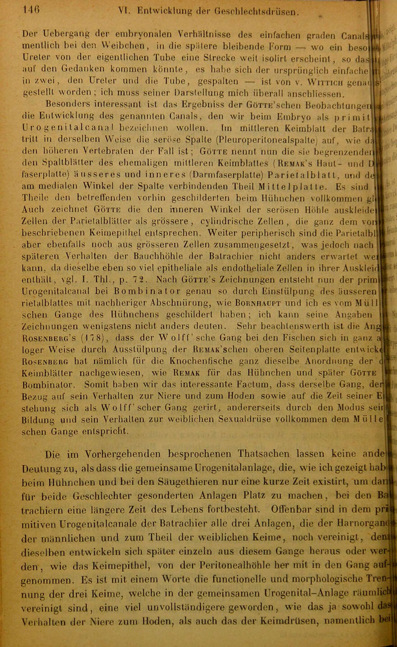 W Der Uebergang der embryonalen Verhiiltni.s.se de.s einfachen graden Canal.s mentlich bei den Weibchen, in die .spätere bleibetjde Form — wo ein beso| Ureter von der eigentlichen Tube eine Strecke weit isolirt erscheint , so da^ auf den Gedanken kommen könnte, es habe sich der ursprünglich einfacheijl in zwei, den Ureter und die Tube, gespalten — ist von v. Wrmeu gena gestellt worden; ich muss seiner Darstellung mich überall anschliessen. Besonders interessant ist das Ergebniss der GörrE’schcn Beobachtungen 4 die Entwicklung des genannten Canals, den wir beim Embryo als primit U r 0 g en i t al ca na I bezeichnen wollen. Im mittleren Keimblatt der Balr;j tritt in derselben Weise die seriise Spalte (Pleuroperitonealspaltej auf, wie d; den höheren Vertebraten der Fall ist; Götte nennt nun die sie begrenzenden den Spallblätter des ehemaligen mittleren Keimblattes ( Bemak’s Haut- iind l> faser[)latto) äusseres und inneres (Darmfaserplatte) Parietalblal t, mid d<^ am meilialen Winkel der Spalte verbindenden Theil M i tt e I p la 11 e. Es sind Theilo den belretfenden vorhin geschilderten beim Hühnchen vollkommen gl Auch zeichnet Götte die den inneren Winkel der serösen Höhle auskleide| Zellen der Parietalblätler als grössere, cylindrische Zellen, die ganz dem von beschriebenen Keimepithel entsprechen. Weiter peripherisch sind die Parietalbl) aber ebenfalls noch aus grösseren Zellen zusammengesetzt, was jedoch nach späteren Verhalten der Bauchhöhle der Batrachicr nicht anders erwartet wei kann, da dieselbe eben so viel epitheliale als endothjiliale Zellen in ihrer Auskleid enthält, vgl. I. Thl., p. 72. Nach Götte’s Zeichnungen entsteht nun der primf Urogenitalcanal bei Bombinator genau so durch Einstülpung des äusseren rielalblattes mit nachheriger Abschnürung, wie BoRNnAUPT und ich es vom Müll sehen Gange des Hühnchens geschildert haben; ich kann seine Angaben | Zeichnungen wenigstens nicht anders deuten. Sehr beachlenswerth ist die Ang Rosenberg’s (178), dass der W olff’sche Gang bei den Fischen sich in ganz a loger Weise durch Ausstülpung der REMAK’schen oberen Seitenplatle entwick^ Rosenberg hat nämlich für die Knochenfische ganz dieselbe Anordnung der Keimblätter nachgewiesen, wie Remak für das Hühnchen und später Götte Bombinator. Somit haben wir das interessante Factum, dass derselbe Gang, dedi Bezug auf sein Verhalten zur Niere und zum Hoden sowie auf die Zeit seiner E|| Stellung sich als W 0 Iff’scher Gang gerirl, andererseits durch den Modus seiijR Bildung und sein Verhalten zur weiblichen Sexualdrüse vollkommen dem M ü 11 el| sehen Gange entspricht. Die im Vorhergehenden besprochenen Thatsachen lassen keine andej Deutung zu, als dass die gemeinsame Urogenilalanlage, die, wie ich gezeigt hab| beim Hühnchen und bei den Säugethieren nur eine kurze Zeit existirt, um dad für beide Geschlechter gesonderten Anlagen Platz zu machen, bei den Bn trachiern eine längere Zeit des Lebens fortbesteht. Offenbar sind in dem pri mitiven Urogenitalcanale der Batrachier alle drei Anlagen, die der Harnorgan^ der männlichen und zum Theil der weiblichen Keime, noch vereinigt, den; dieselben entwickeln sich später einzeln aus diesem Gange heraus oder wer- den, wie das Keimepithel, von der Peritonealhöhle her mit in den Gang auf- genommen. Es ist mit einem Worte die functioneile und morphologi.sche Tren- nung der drei Keime, welche in der gemeinsamen Urogenital-Anlage räumlic* vereinigt sind, eine viel unvollständigere geworden, wie das ja sowohl da Verhalten der Niere zum Hoden, als auch das der Keimdrüsen, namentlich bei