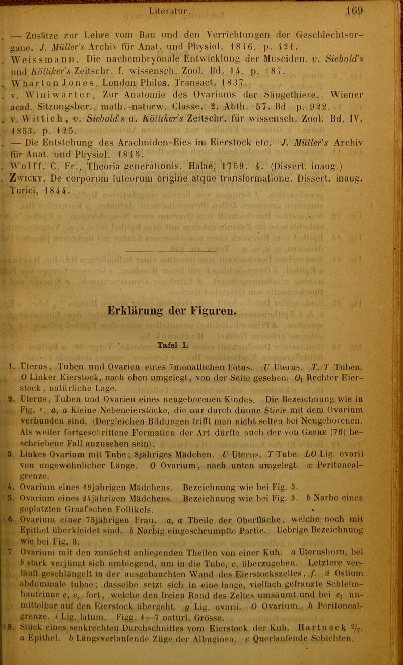 — Zusfitze zur Lehre vom Bau und den Verrichtungen der Geschleclilsor- gane. J. il/ü//6T'.v Archiv für Anat, und Physiol. 1846. p. 42 1. . Weissniann, Die nachembryonale Entwicklung der Musciden. o. Siebold's und Ao7/<7cer’i'Zeitschr. f. wi.ssensch. Zool. Bd. 14. p. 187. . Whar 10n J 011 es , London Philos. Transact. 1 837. . V. Win i war ter, Zur Anatomie des Ovariums der Säugelhiere. Wiener acad. Sitzungsber., math.-naturw. Classe. 2. Abth. 57. Bd p. 922. . V. VVittich, V. Siebold's u. Kölliker’s Zeitschr. für wissensch. Zool. Bd. IV, 185.3. p. 125. , — Die Entstehung des Arachniden-Eies im Eierstock etc. J. Müller's Archiv für Anat. und Physiol. 1845. . Wolff, C. Fr., Tlieoria generationis. Halae, 1 759. 4. (Dissert. inaug.) . ZwiCKY, De corporum luteorum origine atque transformatione. Dissert. inaug. Turici, 1 8 44. Erklärung der Figuren. Tafel I. 1. Uterus, Tuben und Ovarien eines 7nionatlichen Fötus. U Uterus. T, T Tuben. 0 Linker Eierslock, nach oben umgelegt, von der Seite ge.sehen. Oi Rechter Eier- stock, natürliche Lage. 2. üteru.s, Tuben und Ovarien eines neugeborenen Kindes. Die Bezeichnung wie in Fig. L 0, o Kleine Nebeneierstöcke, die nur durch dünne Stiele mit dem Ovarium verbunden sind. (Dergleichen Bildungen trifft man nicht selten bei Neugeborenen. Als weiter fortgescitrittene Formation der Art dürfte auch der von Guohe (76) be- schriebene Fall anzuseben sein). 3. Linkes Ovarium mit Tube; Sjähriges Mädchen. (7 Uterus. T Tube. XO Lig. ovarii von ungewöhnlicher Länge. 0 Ovarium, nach unten umgelegt. x Peritoneal- grenze. 4. Ovarium eines 19jährigen Mädchens. Bezeichnung wie bei Fig. 3. 5. Ovarium eines 24jährigen Mädchens. Bezeichnung wie bei Fig. 3. 6 Narbe eines geplatzten Graafschen Follikels. ' 6. Ovarium einer 75jährigen Frau, a, o Theile der Oberfläche, welche noch mit Epithel übcrkleidet sind, b Narbig eingeschrumpfte Partie. Uebrige Bezeichnung wie bei Fig. 3. j 7. Ovarium mit den zunächst anliegenden Theilen von einer Kuh. a Uterushorn, bei b stark vei jüngt sich umbiegend, um in die Tube, c, überzugehen. Letztere ver- läuft geschlängelt in der ausgebauchten Wand des Eierstockszeltes, f. d Ostium abdominale tubae; dasselbe setzt sich in eine lange, vielfach gcfranzte Schloim- hautrinne e, e, fort, welche den freien Rand des Zeltes umsäumt und bei C\ un- mittelbar auf den Eierstock übergeht, g Lig. ovarii. 0 Ovarium. h Peritonoal- grenze. i Lig. latum. Figg. 1—7 natürl. Grösse. 8. Stück eines .senkrechten Durchschnittes vom Eierstock der Kuh. Ilartn ack 2/7. o Epithel, b Längsverlaufende Züge der Albuginea. c Querlaufende Schichten.