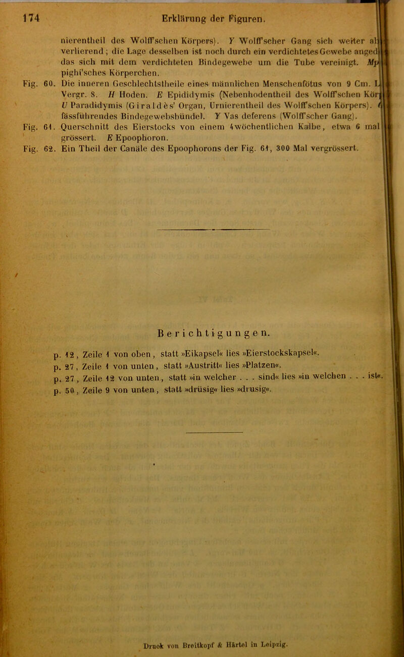 nierentholl des WoHTschen Körpers). Y WolfTscher Gang sich weiter al I verlierend ; die Lago desselben i.st noch durch ein verdichtetes Gewebe angedj das sich mit dem verdichteten Bindegewebe um die Tube vereinigt. Mip pighi’sches Körperchen. Fig. 60. Die inneren Gescblechtstheilc eines männlichen Menschenfötus von 9 Cm. L; Vergr. 8. H Hoden. E Epididymis (Nebenhodenthcil des WolfPschen Köri U Paradidymis (Giraldös’ Organ, Urnierentheil des Wolff-schen Körpers), fi fössführendes Bindcgewebsbündel. Y Vas deferens (WolfTscher Gang). Fig. 61. Querschnitt des Eierstocks von einem Awöchentlichen Kalbe, etwa 6 mal grössere E Epoophoron. Fig. 62. Ein Theil der Canäle des Epoophorons der Fig. 61, 300 Mal vergrössert. Berichtigungen. p. 12, Zeile 1 von oben, statt »Eikapsel« lies »Eierstockskapsel«, p. 27 , Zeile 1 von unten , statt »Austritt« lies »Platzen«, p. 27, Zeile 12 von unten, statt »in welcher . . . sind« lies »in welchen . . . ist«, p. 50 , Zeile 9 von unten, statt »drüsig« lies »drüsig«. Drnok von Üreilkopf & Härtel in Leipzig.