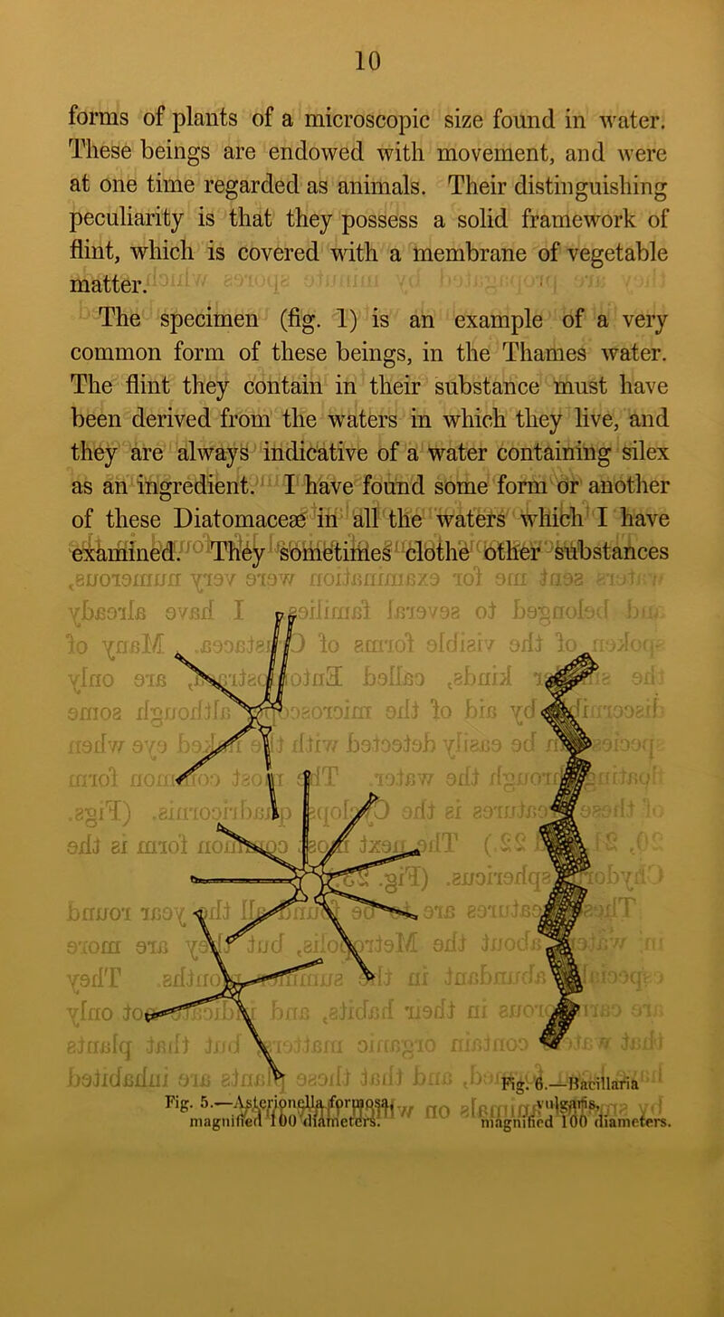 forms of plants of a microscopic size found in water. These beings are endowed with movement, and were at one time regarded as animals. Their distinguishing peculiarity is that they possess a solid framework of flint, which is covered with a membrane of vegetable matter. ‘ The specimen (fig. 1) is an example of a very common form of these beings, in the Thames water. The flint they contain in their substance must have been derived from the waters in which they live, and they are alwayk indicative of a water containing silex as an ingredient. I'have found some form dr'another of these Diatomaceae'iii’'alb the waters %hibh’I have exhmined/^^ 'Th‘6y' 'sbin^^^ ^cldih'e'' other shbstances .Ruoioxnmi dvrrr uoi.tcnmrR-.o ’Oi li vb^oila ovBil I npiiff/nd Jnie-eg ot lo ^nsM . lu gu- iol - lo^ ylfio oiB bolleo emoa oili to yd. ftsdw Q r) ifhv/ bonjoifjb ? iaioi iaf- agiT) .ajfr.o.orfonV) 9dl 81 midl flonhsLDO :^iT .jdJ n'ni-iox ' ; >fit SI fcOXJjjl; (.££ -gnonGffqa boijo'i icoy-«fli eCTi. S: 9xoni oiij yi^fjud ^siio^'ileM 6 it jnc ysflT 8i{lu(^,i.*^^Tffmn8 m Ju-obui ‘ yfno bna ^gfidiid nedi ni anoi Bftmfq Jfiih jndV'edinm oucn •s’O'Tr beiidcdni oic ehu; Fia:. 6.—Bacillafia 'S’* no