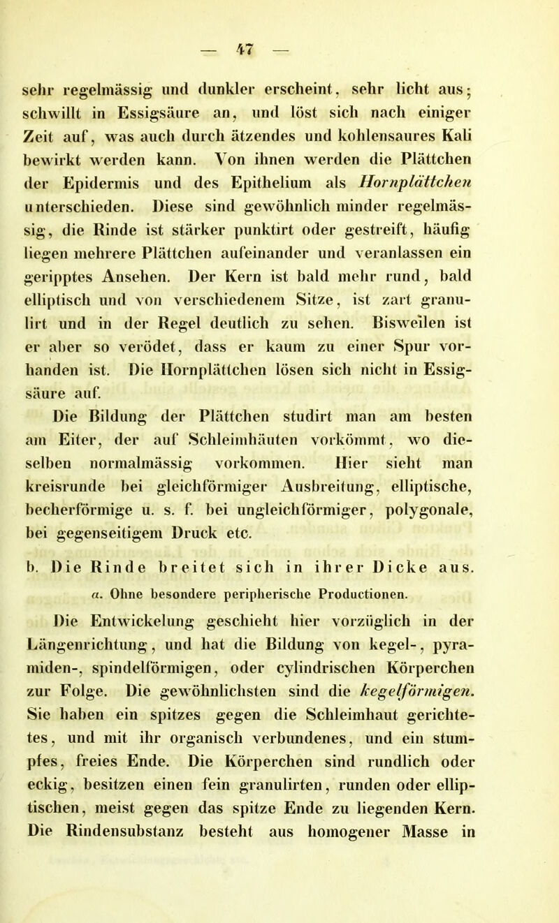 sehr regelmässig und dunkler erscheint, sehr licht aus; schwillt in Essigsäure an, und löst sich nach einiger Zeit auf, was auch durch ätzendes und kohlensaures Kali bewirkt werden kann. Von ihnen werden die Plättchen der Epidermis und des Epithelium als Hornplättchen unterschieden. Diese sind gewöhnlich minder regelmäs- sig, die Rinde ist stärker punktirt oder gestreift, häufig liegen mehrere Plättchen aufeinander und veranlassen ein geripptes Ansehen. Der Kern ist bald mehr rund, bald elliptisch und von verschiedenem Sitze, ist zart granu- lirt und in der Regel deutlich zu sehen. Bisweilen ist er aber so verödet, dass er kaum zu einer Spur vor- handen ist. Die Hornplättchen lösen sich nicht in Essig- säure auf. Die Bildung der Plättchen studirt man am besten am Eiter, der auf Schleimhäuten vorkömmt, wo die- selben normalmässig Vorkommen. Hier sieht man kreisrunde bei gleichförmiger Ausbreitung, elliptische, becherförmige u. s. f. bei ungleichförmiger, polygonale, bei gegenseitigem Druck etc. b. Die Rinde breitet sich in ihrer Dicke aus. a. Ohne besondere peripherische Produc.tionen. Die Entwickelung geschieht hier vorzüglich in der Längenrichtung, und hat die Bildung von kegel-, Pyra- miden-, spindelförmigen, oder cylindrischen Körperchen zur Folge. Die gewöhnlichsten sind die kegelförmigen. Sie haben ein spitzes gegen die Schleimhaut gerichte- tes, und mit ihr organisch verbundenes, und ein stum- pfes, freies Ende. Die Körperchen sind rundlich oder eckig, besitzen einen fein granulirten, runden oder ellip- tischen, meist gegen das spitze Ende zu liegenden Kern. Die Rindensubstanz besteht aus homogener Masse in