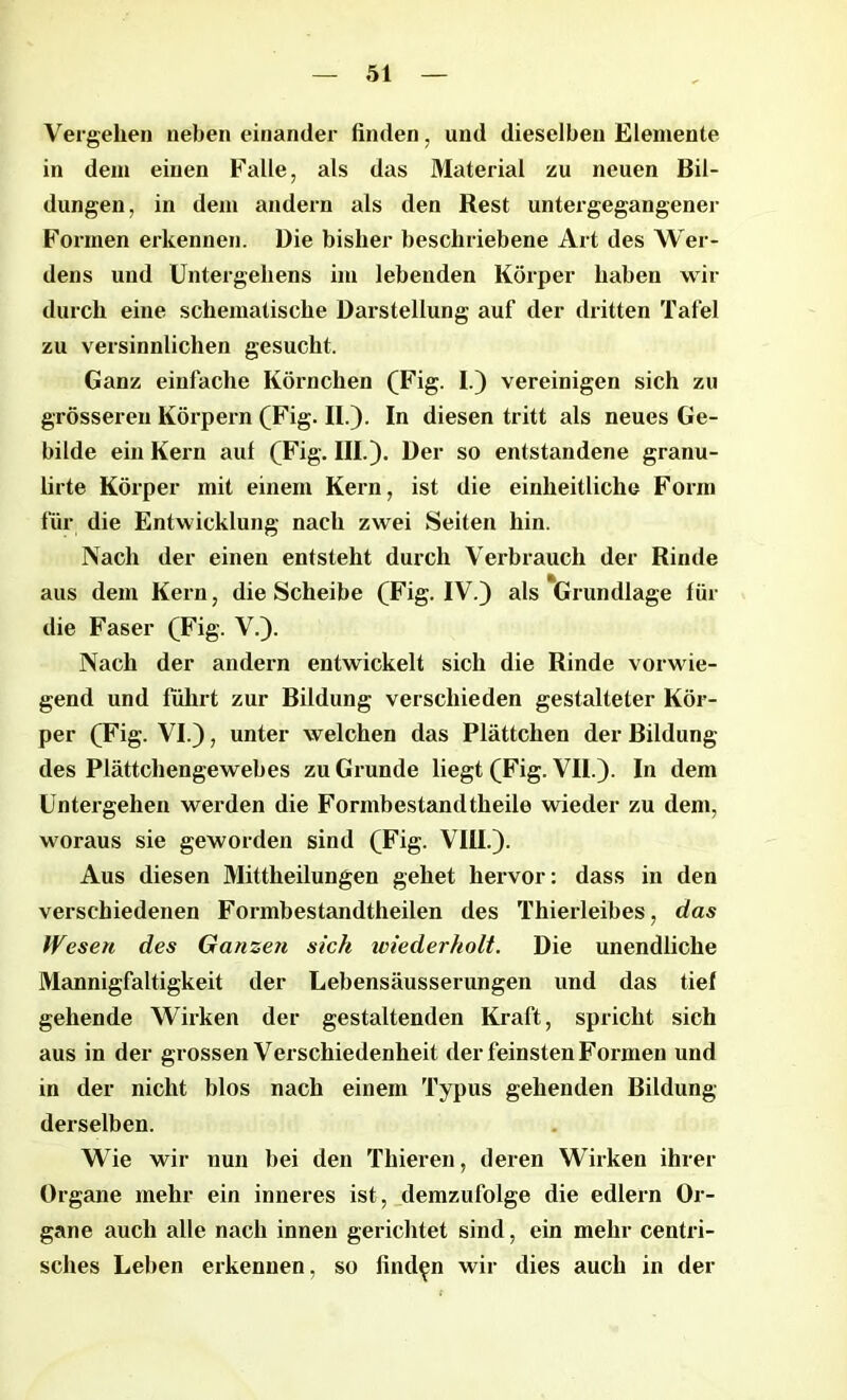 Vergehen nebeneinander finden, und dieselben Elemente in dein einen Falle, als das Material zu neuen Bil- dungen, in dem andern als den Rest untergegangener Formen erkennen. Die bisher beschriebene Art des Wer- dens und Untergebens im lebenden Körper haben wir durch eine schematische Darstellung auf der dritten Tafel zu versinnlichen gesucht. Ganz einfache Körnchen (Fig. I.) vereinigen sich zu grösseren Körpern (Fig. II.). In diesen tritt als neues Ge- bilde ein Kern aul (Fig. III.). Der so entstandene granu- lirte Körper mit einem Kern, ist die einheitliche Form für die Entwicklung nach zwei Seiten hin. Nach der einen entsteht durch Verbrauch der Rinde aus dem Kern, die Scheibe (Fig. IV.) als Grundlage für die Faser (Fig. V.). Nach der andern entwickelt sich die Rinde vorwie- gend und fuhrt zur Bildung verschieden gestalteter Kör- per (Fig. VI.), unter welchen das Plättchen der Bildung des Plättchengewebes zu Grunde liegt (Fig. VII.). In dem Untergehen werden die Forinbestandtheile wieder zu dem, woraus sie geworden sind (Fig. VIII.). Aus diesen Mittheilungen gehet hervor: dass in den verschiedenen Formbestandtheilen des Thierleibes, das Wesen des Ganzen sich wiederholt. Die unendliche Mannigfaltigkeit der Lebensäusserungen und das tief gehende Wirken der gestaltenden Kraft, spricht sich aus in der grossen Verschiedenheit der feinsten Formen und in der nicht blos nach einem Typus gehenden Bildung derselben. Wie wir nun bei den Thieren, deren Wirken ihrer Organe mehr ein inneres ist, demzufolge die edlern Or- gane auch alle nach innen gerichtet sind, ein mehr centri- sches Leben erkennen, so finden wir dies auch in der