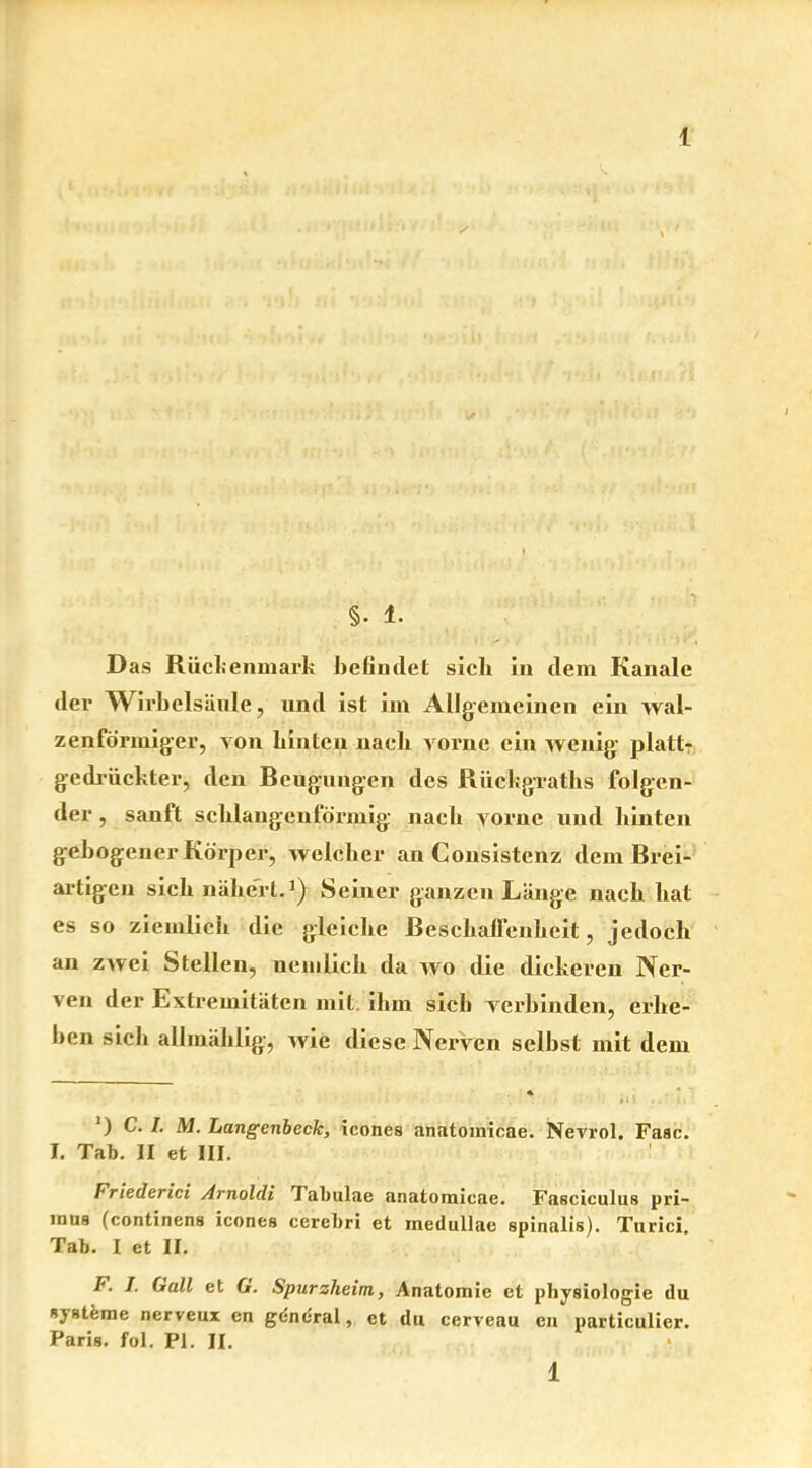 Das Rückenmark befindet sieb in dem Kanäle der Wirbelsäule, und ist im Allgemeinen ein wal- zenförmiger, von hinten nach vorne ein wenig platt- gedrückter, den Beugungen des Rückgraths folgen- der , sanft schlangenförmig nach vorne und hinten gebogener Körper, welcher au Konsistenz dem Brei- artigen sich nähert.* 1} Seiner ganzen Länge nach hat es so ziemlich die gleiche Beschaffenheit, jedoch an zwei Stellen, nemlich da wo die dickeren Ner- ven der Extremitäten mit. ihm sich verbinden, erhe- ben sich allmählig, wie diese Nerven seihst mit dem ') C. I. M. Langenbeclc, icones anatomicae. Nevrol. Faac. I. Tab. II et III. Friederici Arnoldi I abulae anatomicae. Faaciculus pri- mua (continens icones cerebri et inedullae spinalis). Turici Tab. I et II. F. I. Gail et G. Spurzheim, Anatomie et physiologie du Systeme nerveux en general, et du cerveau en particulier. Paris, fol. PI. II.