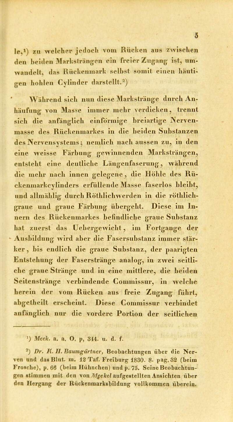 le,1) zu welcher jedoch vom Rüchen aus zwischen den beiden Marksträngen ein freier Zugang ist, um- wamlelt, das Rückenmark seihst somit einen häuti- gen hohlen Cylinder darstellt.2) Während sich nun diese Markstränge durch An- häufung von Masse immer mehr verdicken, trennt sich die anfänglich einförmige breiartige Nerven- masse des Rückenmarkes in die beiden Substanzen des Nervensystems 5 neinlick nach aussen zu, in den eine weisse Färbung gewinnenden Marksträngen, entsteht eine deutliche Längenfaserung, während die mehr nach innen gelegene, die Höhle des Rii- ckenmarkcylinders erfüllende Masse faserlos bleibt, und allmählig durch Röthlicliwerden in die rötlilicli- graue und graue Färbung übergeht. Diese im In- nern des Rückenmarkes befindliche graue Substanz hat zuerst das Uebergewicht, im Fortgange der Ausbildung wird aber die Fasersubstanz immer stär- ker , bis endlich die graue Substanz, der paarigten Entstehung der Faserstränge analog, iu zwei seitli- che graue Stränge und in eine mittlere, die beiden Seitenstränge verbindende Commissur, in welche herein der vom Rücken aus freie Zugang führt, abgelheilt erscheint. Diese Commissur verbindet anfänglich nur die vordere Portion der seitlichen ') Meck. a. a. O. p, 344. u. d. f. 2) Dr. Fi. H. Baumgärtner, Beobachtungen über die Ner- ven und das Blut. m. 12 Taf. Freiburg 1830. 8- pag. 32 (beim Frosche), p. 68 (beim Hühnchen) und p. 75. Seine Beobachtun- gen stimmen mit den von Mgckel aufgestellten Ansichten über den Hergang der Rückenraarksbildung vollkommen übereiq,