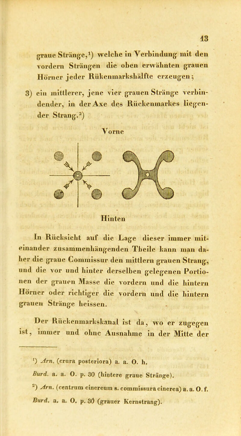 graue Stränge,1) welche in Verbindung mit den vordem Strängen die oben erwähnten grauen Hörner jeder Rükcnmarkshälfte erzeugen 3 3) ein mittlerer, jene vier grauen Stränge verbin- dender, in dcrAxe des Rückenmarkes liegen- der Strang.2) V orne Hinten In Rücksicht auf die Lage dieser immer mit- einander zusammenhängenden Theile kann man da- her die graue Commissur den mittlern grauen Strang, und die vor und hinter derselben gelegenen Portio- nen der grauen Masse die vordem und die hintern Hörner oder richtiger die vordem und die hintern grauen Stränge heissen. Der Rückenmarkskanal ist da, wo er zugegen ist, immer und ohne Ausnahme in der Mitte der ') Am. (crura posteriora) a. a. 0. h. ßurd. a. a. 0. p. 30 (hintere graue Stränge). 2) Am. (centrum cinereuin s. commissura cinerea) a. a. O, f. Burd. a. a. O. p. 3Ö (grauer Kernstrang).