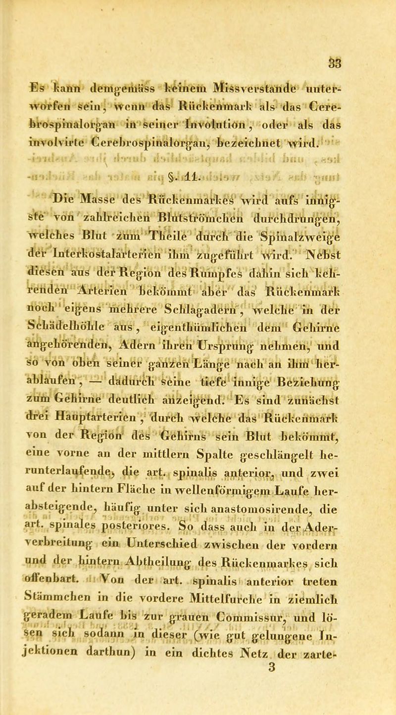 Es kann demgemäss keinem Missverstände unter- worfen sein^ wenn das Rückenmark als das Cere- brospinalorgan in seiner Involution, oder als das involvirte Ccrebrospinalorgan, bezeichnet wird. §. 11. . : Hth T>,W\ Die Masse des Rückenmarkes wird aufs innig- ste von zahlreichen BlutströmcliCn durchdrungen, welches Blut zum Theile durch die Spinalzweig'e der Interkostalarterien ihm Zugeführt wird. Nebst diesen aus der Region des Rumpfes dahin sich keh- renden Arterien bekömmt aber das Rückenmark noch eigens mehrere Schlagadern, welche in der Schädelhöhle aus, eigenthümlichen dem Gehirne angehörenden, Adern ihren Ursprung nehmen, und so von oben seiner ganzen Länge nach an ihm her- abläufen , — dadurch seine tiefe innige Beziehung zum Gehirne deutlich anzeigend. Es sind zunächst drei Hauptarterien , durch welche das Rückenmark von der Region des Gehirns sein Blut bekömmt, eine vorne an der mittlern Spalte geschlängelt lie- runterlaufendei, die art. spinalis anterior, und zwei auf der hintern Fläche in wellenförmigem Laufe her- absteigende, häufig unter sich anastomosirende, die art. spinales posteriores. So dass auch in derAdcr- \ erbreitung ein Unterschied zwischen der vordem und der hintern Abtheilung des Rückenmarkes sich offenbart. Von der art. spinalis anterior treten Stämmchcn in die vordere Mittelfurche in ziemlich geradem Laufe bis zur grauen Commissur, und lö- sen sich sodann in dieser (wie gut gelungene In- jektionen darthun) in ein dichtes Netz der zarle- 3