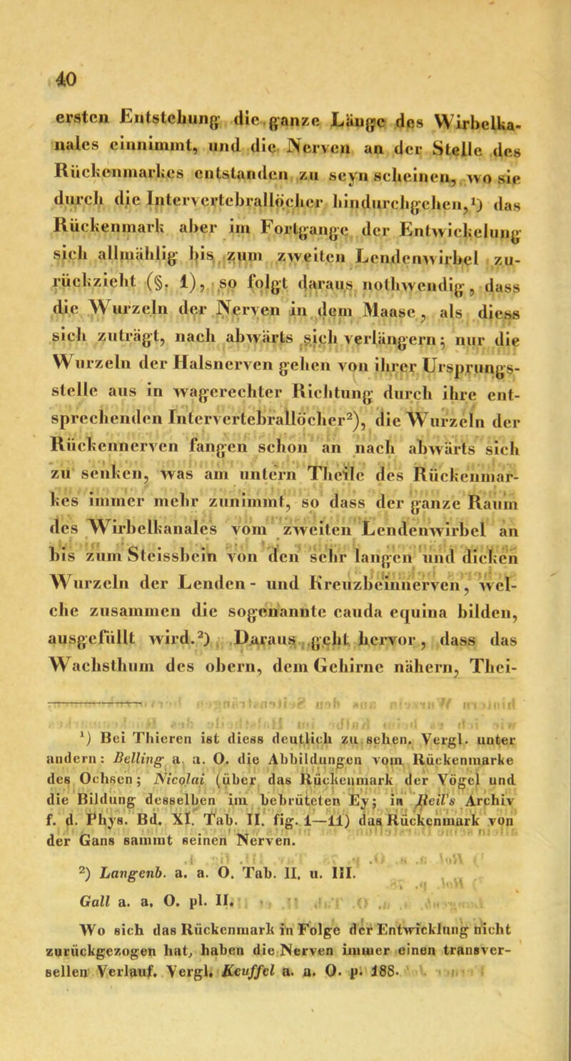 ersten Entstehung die.ganze Länge des Wirbelka- naics cinnimmt, und die Nerven an der Stelle des Rückenmarkes entstanden zu seyn scheinen, wo sie durch die Intervertcbrallöcher hindurchgehen,1) das Rückenmark aber im Fortgänge der Entwickelung sich allmählig bis zum zweiten Lendenwirbel zu- rückzieht (§. 1), so folgt daraus nolhwcndig, dass die Wurzeln der Nerven in dem Maase, als diess sich zuträgt, nach abwärts gich verlängern} nur die Wurzeln der Halsnerven gehen von ihrer Ursprungs- stelle aus in wagerechter Richtung durch ihre ent- sprechenden Intervertebrallöcher2), die Wurzeln der Rückennerven fangen schon an nach abwärts sich zu senken, was am untern Th eile; des Rückenmar- kes immer mehr zunimmt, so dass der ganze Raum des Wirbelkanales vom zweiten Lendenwirbel an bis zum Stcissbein Von den sehr langen und dicken w urzeln der Lenden - und Kreuzbeinnerven, wel- che zusammen die sogenannte cauda equina bilden, ausgcfiillt wird.2) Daraus geht hci’vor, dass das Wachsthum des obern, dem Gehirne nähern, Thei- 1) Bei Thieren ist diess deutlich zu sehen. Yergl. unter andern: Belting a a. O. die Abbildungen vom Rüekenraarke des Ochsen; Nicolai (über das Rückenmark der Vögel und die Bildung desselben im bebrüteten Ey; in IlciVs Archiv f. d. Phys. Bd. XI. Tab. II. fig. 1—11) das Rückenmark von der Gans summt seinen Nerven. 2) Langenb. a. a. O. Tab. II. u. 111. Gail a. a. O. pl. II. , •• ,f, . (> . < : • V Wo sich das Rückenmark in Folge der Entwicklung nicht zurückgezogen hat, haben die Nerven immer einen transver- salen Verlauf. Vergb Keuffel a. a. 0. p. J8S-