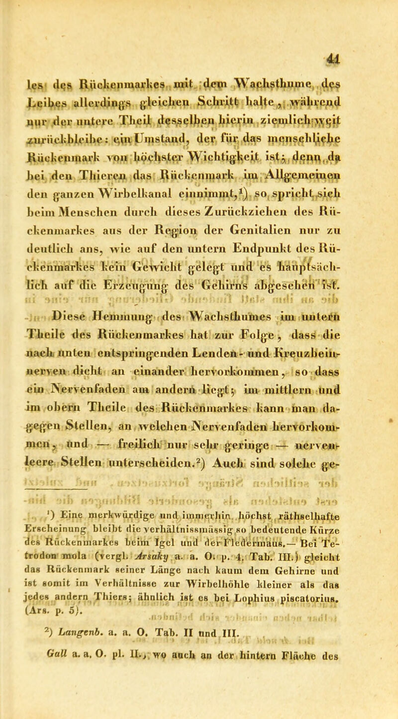 les dps Rückenmarkes mit dem Waphsthume des Leibes allerdings gleichen Schritt halte , während nur der untere Theil desselben hierin ziemlich ^qit .zurüekbleibc: ein Umstand, der für das menschliche Rückenmark von höchster Wichtigkeit ist j denn, da hei den Tliieren das Rückenmark im Allgemeinen den ganzen Wirbelkanal einnimmt,1) so spricht,sich beim Menschen durch dieses Zurückziehen des Rü- ckenmarkes aus der Region der Genitalien nur zu deutlich ans, wie auf den untern Endpunkt des Rü- ckenmarkes kein Gewicht gelegt und es hauptsäch- lich auf die Erzeugung des Gehirns abgesehen ist. Ui in 1)1 \ tI 0uitf)h(lu IJßl • HÄ *)!ij Diese Hemmung des Wachsthumes im untern Theile des Rückenmarkes hat zur Folge, dass die nach unten entspringenden Lenden - und Kreuzbein- uerven dicht an einander hervorkommen, so dass ein j\ervenfaden am andern liegt 5 im mittlcrn lind im oberu Theile des Rückenmarkes kann man da- gegen Stellen, an welchen Nervenfaden liervorkom- mcn, und — freilich nur sehr geringe — nerveur leere Stellen unterscheiden.2) Auch sind solche ge- •:! ;; ■“ 'v;; :?ht5^ (v-rDlii *>> ') Eine merkwürdige und immerhin höchst räthselhafte Erscheinung blciht die verhältnissmässig so bedeutende Kürze des Rückenmarkes heim Igel und der Fledermäus.— Bei Te- trodon mola (vergl. Arsaky a. a. O. p. 4. Tah. III.) gleicht das Rückenmark seiner Länge nach kaum dem Gehirne und ist somit im Verhältnisse zur Wirbelhöhle kleiner als das jedes andern Thiers; ähnlich ist es bei Lophius piscatorius. (Ars. p. 5). 2) Langenb. a. a. O. Tab. II und III. Gail a. a, O. pl. II., wo auch an der hintern Fläche des