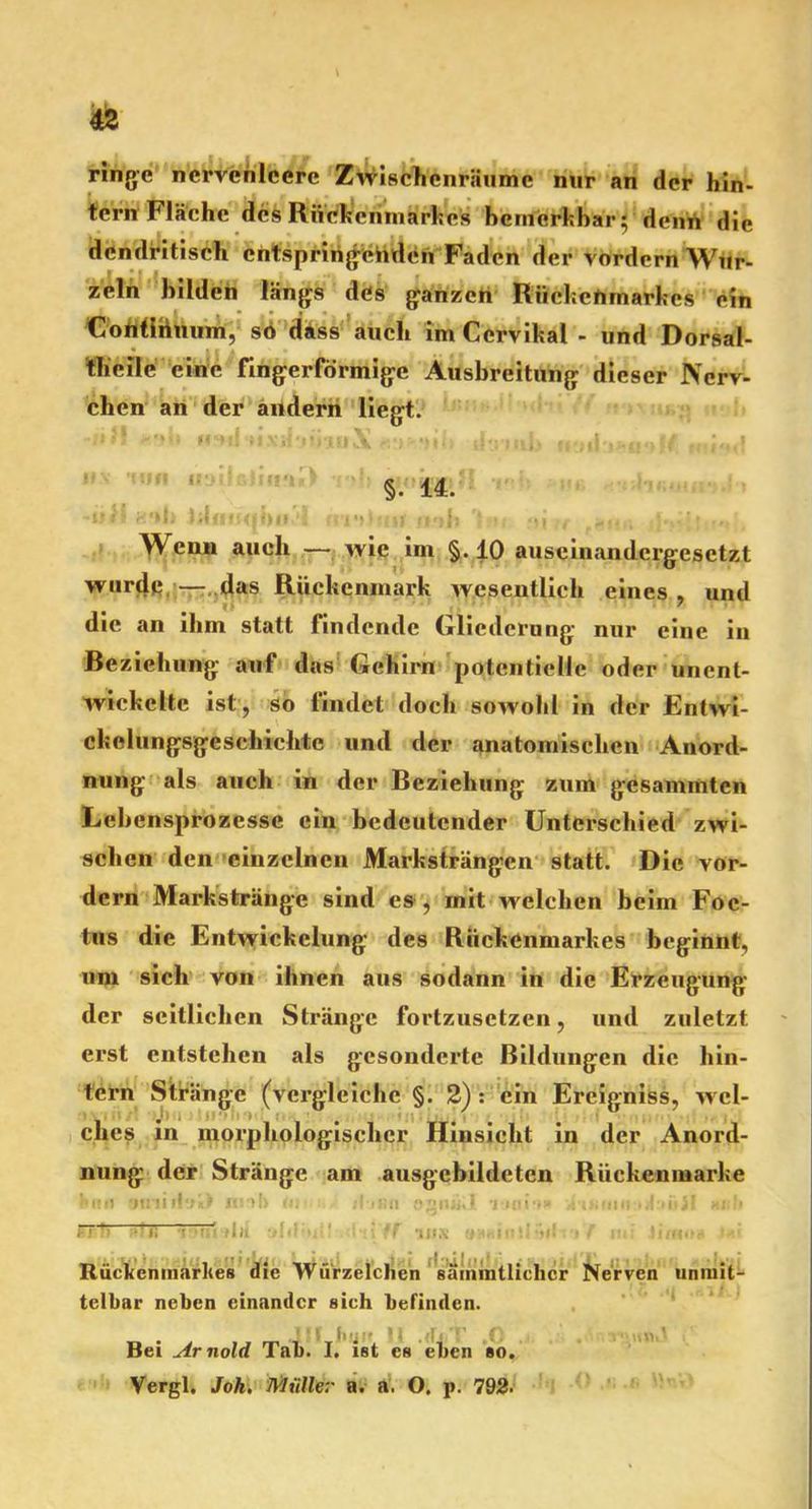 ringe ncrvcnlcerc Zwischenräume nur an der hin- tern Fläche des Rückenmarkes bemerkbar' denn die dendritisch entspringenden Faden der vordem Wur- zeln bilden längs des ganzen Rückenmarkes ein Contlhuum, so däss auch im Cervikal - und Dorsal- 'tlicile eine fingerförmige Ausbreitung dieser Ncrv- chen an der andern liegt. §• 14. •UM süb );l o nq bol m-thtti aah Ib« »i Wenn auch — wie im §.10 auseinandergesetzt wurde — das Rückenmark wesentlich eines , und die an ihm statt findende Gliederung nur eine in Beziehung auf das Gehirn potentielle oder unent- wickelte ist, so findet doch sowohl in der Entwi- ckelungsgeschichte und der anatomischen Anord- nung als auch in der Beziehung zum gesammten Lebensprozesse ein bedeutender Unterschied zwi- schen den einzelnen Marksträngen statt. Die vor- dem Markstränge sind es, mit welchen beim Foc- tus die Entwickelung des Rückenmarkes beginnt, um sich von ihnen aus sodann in die Erzeugung der seitlichen Stränge fortzusetzen, und zuletzt erst entstehen als gesonderte Bildungen die hin- tern Stränge (vergleiche §. 2):'ein Ereigniss, wcl- chcs in morphologischer Hinsicht in der Anord- nung der Stränge am ausgcbildeten Riickenmarke kitn siniit^i) nn!> tu il-inn ogntkl •j-.icii-t» ,ro.fiiii:>tt'ti>jf Mt.lt : n • iJi ' -111•; ii! ■ Rückenmarkes die Würzelchen säinmtlichcr Nerven unmit- telbar neben einander sich befinden. Bei Arnold Tab. I. ist es eben so. Vergl. Jok. Mülle:' a. a. O. p. 792.