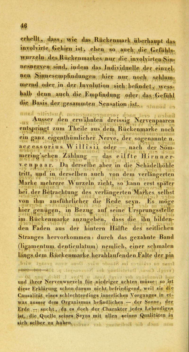 erhellt, «lass, wie das Rückenmark überhaupt das involvirtc Gchjfjn Ist, eben so auc h die Gefühls- Wurzeln des Rückenmarkes nur die involvirten Sin- nesnerven sind, indem das Individuelle «1er einzel- nen Sinnescmpfinduiigeu hier nur noch schlum- mernd oder in der Involution sich helindct, wess- halh denn auch die Empfindung oder das Gefühl die Rasis der gesummten Sensation ist. Ausser den erwähnten drcissig Nervenpaaren entspringt zum Theile aus dem Rüchenmarke noch eiu ganz eigentümlicher Nerve, der sogenannte n. ac,c e s s or i u s W i 11 i s i i oder — nach der Söm- mering’schen Zählung — das eilfte Hi inner v c n p a a r. Da derselbe aber in die Schädelhöhle tritt, und in derselben auch von dem verlängerten Marke mehrere Wurzeln zieht, so bann erst später bei der fietraebtung des verlängerten Markes selbst von ihm ausführlicher die Rede seyn. Es möge hier genügen, in Bezug auf seine Ursprungsstelle im Rückenmarkc anzugeben, dass die ihn bilden- den Faden aus der hintern Hälfte des seitlichen Stranges hervorkommen: durch das gezahnte Band (ligamentum dentienlatum) neinlich, einer schmalen längs dem Rüekcnmarke herablaufenden Falte der pia fni w J««!>•>..’ IM! v .VI«'« ‘»liiii.J?, IIIi •i.-.'n'iU-i » ii.v •IUI»'! f '. T^' I • r. () l <, (ii ‘ i :. , ' , . • ■ , f \ ---• Ot. .‘jIG1 .i« .] . •* f {iC; */ . * J v. • Jvi.ült'li) und ihrer Nervenwurzeln für niedriger achten müsse: so ist diese Erklärung schon darum nicht befriedigend, weil sie die Causalitüt eines schlechterdings innerlichen Vorganges in et- was ausser dem Organismus befindlichen — der Sonne, der Erde —; sucht » da es doch der Charakter jedes Lebendigen jpt, die Quelle seines $eyns mit allen seinen Qualitäten in sich selber zu haben.