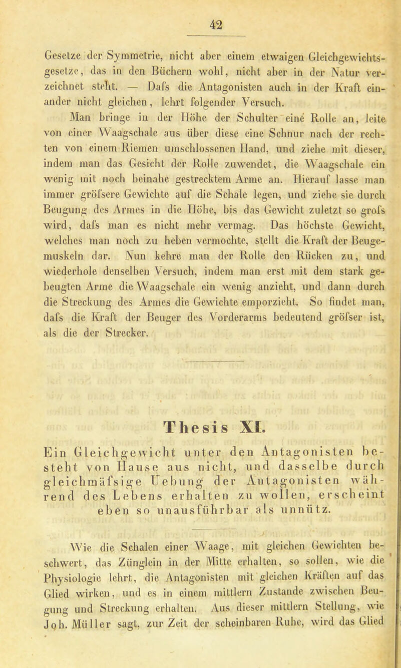 Gesetze der Symmetrie, nicht aber einem etwaigen Gleichgewiclits- gesclze, das in den Büchern wohl, nicht aber in der Natur ver- zeichnet stellt. — Dals die Antagonisten auch in der Kraft ein- ander nicht gleichen, lehrt folgender Versuch. 3Ian bringe in der Höhe der Schulter eine Rolle an, leite von einer Waagschale aus über diese eine Schnur nach der rech- ten von einem Riemen umschlossenen Hand, und ziehe mit dieser, indem man das Gesicht der Rolle zuwendet, die Waagschale ein wenig mit noch beinahe gestrecktem Arme an. Hierauf lasse man immer gröfsere Gewichte auf die Schale legen, und ziehe sie durch Beugung des Armes in die Höhe, bis das Gewicht zuletzt so grol's wird, dafs man es nicht mehr vermag. Das höchste Gewicht, welches man noch zu heben vermochte, stellt die Kraft der Beuge- rauskeln dar. Nun kehre man der Rolle den Rücken zu, und wiederhole denselben Versuch, indem man erst mit dem stark ge- beugten Arme die Waagschale ein wenig anzieht, und dann durch die Streckung des Armes die Gewichte emporzieht. So findet man, dafs die Kraft der Beuger des Vorderarms bedeutend gröfser ist, als die der Strcckei’. Thesis XL Ein Gleichgewicht unter den Antagonisten be- steht von Hause aus nicht, und dasselbe durch ffleichmäfsige üebung der Antagonisten wäh- rend des Lebens erhalten zu wollen, erscheint eben so unausführbar als unnütz. Wie die Schalen einer Waage, mit gleichen Gewichten be- schwert, das Zünglein in der Mitte erhalten, so sollen, wie die Physiologie lehrt, die Antagonisten mit gleichen Kräften auf das Glied wirken, und es in einem mittlern Zustande zwischen Beu- gung und Streckung erhalten. Aus dieser mittlern Stellung, wie Joh. Müller sagt, zur Zeit der scheinbaren Ruhe, wird das Glied