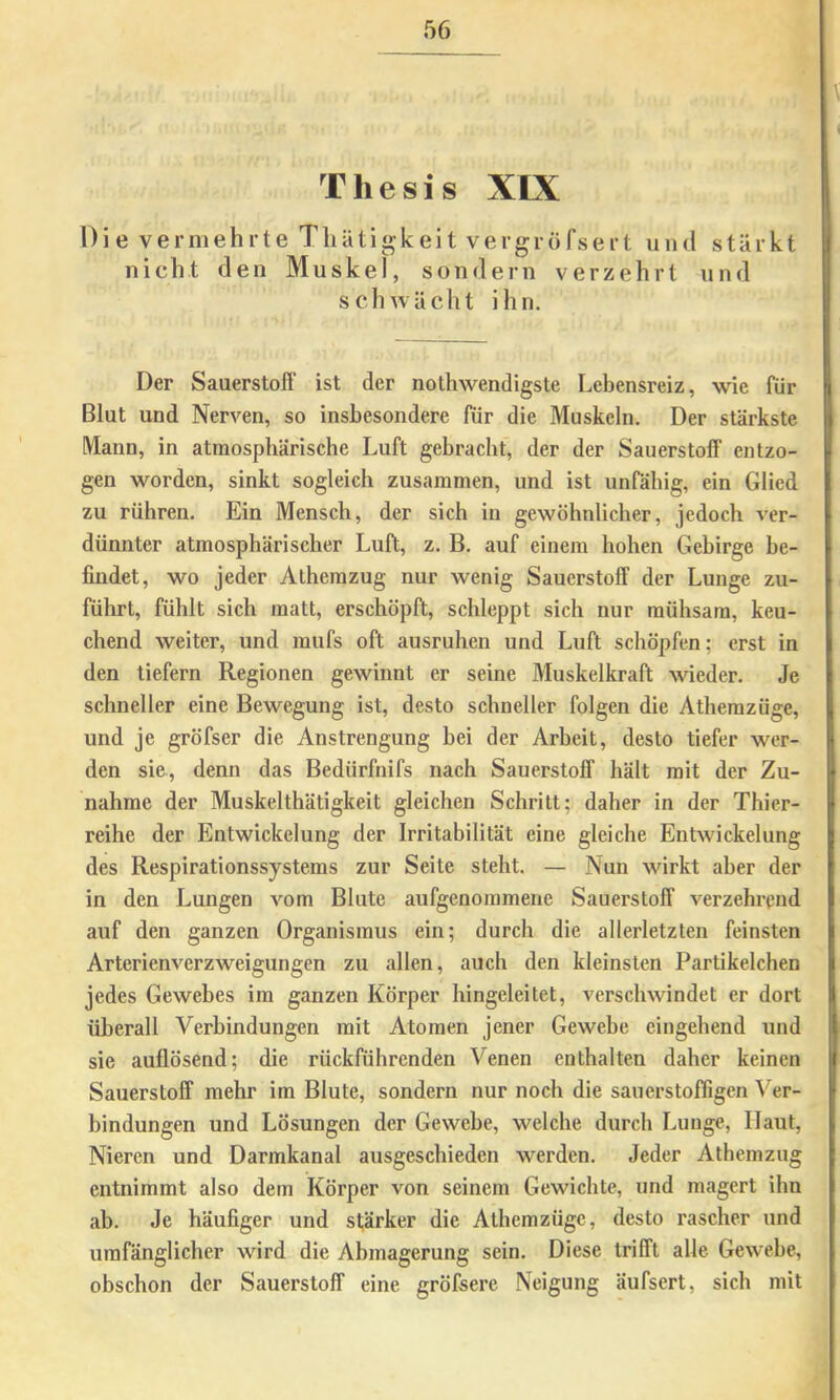 Thesis XIX Di e vermehrte Tliätigkeit vergröfsert und stärkt nicht den Muskel, sondern verzehrt und schwächt ihn. Der Sauerstoff ist der nothwendigste Lebensreiz, wie für Blut und Nerven, so insbesondere für die Muskeln. Der stärkste Mann, in atraospbäriscbe Luft gebracht, der der Sauerstoff entzo- gen worden, sinkt sogleich zusammen, und ist unfähig, ein Glied zu rühren. Ein Mensch, der sich in gewöhnlicher, jedoch ver- dünnter atmosphärischer Luft, z. B. auf einem hohen Gebirge be- findet, wo jeder Athemzug nur wenig Sauerstoff“ der Lunge zu- führt, fühlt sich matt, erschöpft, schleppt sich nur mühsam, keu- chend weiter, und mufs oft ausruhen und Luft schöpfen; erst in den tiefem Regionen gewinnt er seine Muskelkraft wieder. Je schneller eine Bewegung ist, desto schneller folgen die Atherazüge, und je gröfser die Anstrengung bei der Arbeit, desto tiefer wer- den sie, denn das Bedürfnifs nach Sauerstoff hält mit der Zu- nahme der Muskelthätigkeit gleichen Schritt; daher in der Thier- reihe der Entwickelung der Irritabilität eine gleiche Entwickelung des Respirationssystems zur Seite steht. — Nun wirkt aber der in den Lungen vom Blute aufgenommene Sauerstoff verzehrend auf den ganzen Organismus ein; durch die allerletzten feinsten Arterienverzweigungen zu allen, auch den kleinsten Partikelchen jedes Gewebes ira ganzen Körper hingeleitet, verschwindet er dort überall Verbindungen mit Atomen jener Gewebe eingehend iind sie auflösend; die rückführenden Venen enthalten daher keinen Sauerstoff mehr im Blute, sondern nur noch die saiierstofßgen Ver- bindungen und Lösungen der Gewebe, welche durch Lunge, Haut, Nieren und Darmkanal ausgeschieden werden. Jeder Athemzug entnimmt also dem Körper von seinem Gewichte, und magert ihn ab. Je häufiger und stärker die Athemzüge, desto rascher und umfänglicher wird die Abmagerung sein. Diese trifft alle Gewebe, obschon der Sauerstoff eine gröfsere Neigung äufsert, sich mit I