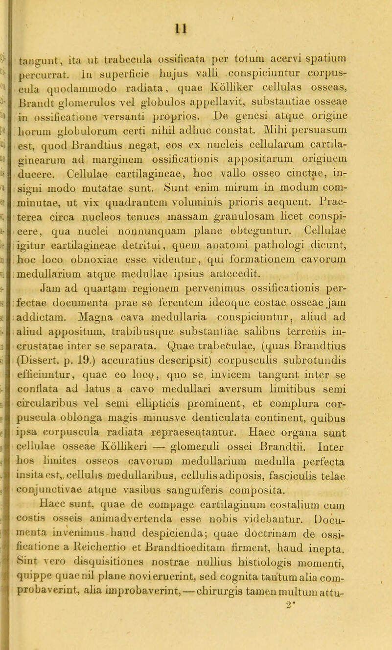 u »1. ■') u 5e 14 '1 1^ iQ -■i 1- ii il E . 1 4 i tiiii2;unt, ita ut trabecula ossilicata per totum acervi spatium percurrat, iu superlicie liujus valli conspiciuntur corpus- cula quodammodo radiata, quae Kolliker cellulas osseas, Braudt o lomerulos vel globulos appellavit, substantiae osseae in ossificatione versanti proprios. De genesi atque origine horum globulorum certi nihil adhuc constat. Mihi persuasum est, quod Brandtius negat, eos ex nucleis cellularum cartila- ginearum ad marginem ossificationis appositarum originem ducere. Cellulae cartilagineae, hoc vallo osseo cinctae, in- sio-ni modo mutatae sunt. Sunt enim mirum in modum com- minutae, ut vix quadrautem voluminis prioris aequent. Prae- terea circa nucleos tenues massam granulosam licet conspi- cere, qua nuclei iionnunquam plane obteguntur. Cedlulae igitur cartilagineae detritui, quem auatomi pathologi dicunt, hoc loco obnoxiae esse videntur, qui formationem cavorum medidlarium atque medullae ipsius antecedit. Jam ad quartam regionem pervenimus ossificationis per- fectae documenta prae se ferentem ideoque costae osseae jam .addictam. Magna cava medullaria conspiciuntur, aliud ad . ahud appositum, trabibusque substantiae salibus terrenis in- crustatae inter se separata. Quae trabefculae, (quas Brandtius (Dissert. p. 19.) accuratius descripsit) corpusculis subrotundis efficiimtur, quae eo loco, quo se invicem tangunt inter se conflata ad latus a cavo medullari aversum limitibus semi circularibus vel senii ellipticis prominent, et complura cor- puscula oblonga magis minusve denticulata continent, quibus ipsa corpuscula radiata repraesentantur. Haec organa sunt cellulae osseae KoUikeri — glomeruli ossei Brandtii. Inter hos limites osseos cavorum medullarium medulla perfecta insita est,, cellulis medullaribus, cellulis adiposis, fasciculis telae conjunctivae atque vasibus sanguiferis composita. Haec sunt, quae de compage cartilaginum costalium cum costis osseis animadvertenda esse nobis videbantur. Docu- menta invenimus-haud despicienda; quae doctrinam de ossi- ficatione a lieichertio et Brandtioeditam firment, haud inepta. 8int vero disquisitiones nostrae nullius histiologis momenti, quippe quaenil plane novi eruerint, sed cognita tantum alia com- probaverint, alia improbaverint, — chirurgis tamen multum attu- 2*