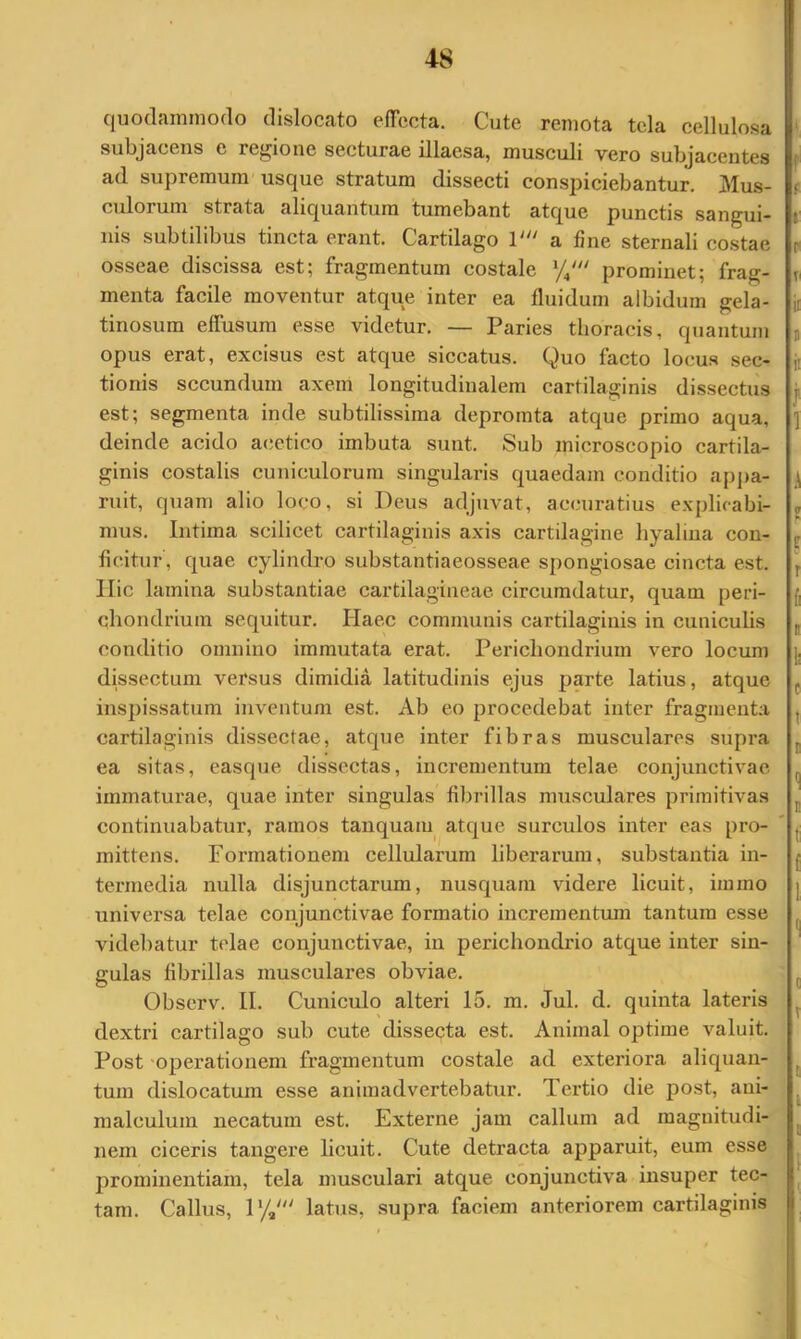 quodammodo dislocato efrecta. Cute remota tela cellulosa ' subjacens e regione secturae illaesa, musculi vero subjacentes i ad supremum usque stratum dissecti conspiciebantur. Mus- r culorum strata aliquantum tumebant atque punctis sangui- t nis subtilibus tincta erant. Cartilago C a fine sternali costae f osseae discissa est; fragmentum costale prominet; frag- v menta facile moventur atque inter ea fluidum albidum gela- n tinosum effusum esse videtur. — Paries thoracis, quantum j opus erat, excisus est atque siccatus. Quo facto locus sec- n tionis secundum axem longitudinalem cartilaginis dissectus ji est; segmenta inde subtilissima depromta atque primo aqua, ] deinde acido acetico imbuta sunt. Sub microscopio cartila- ginis costalis cuniculorum singularis quaedam conditio apj)a- j ruit, quam alio loco, si Deus adjuvat, accuratius explicabi- , mus. Intima scilicet cartilaginis axis cartilagine hyalina con- j fic.itur, quae cylindro substantiaeosseae spongiosae cincta est. \ llic lamina substantiae cartilagineae circumdatur, quam peri- f; chondrium sequitur. Plaec communis cartilaginis in cunieuhs „ conditio omnino immutata erat. Perichondrium vero locum ]. dissectum versus dimidia latitudinis ejus parte latius, atque ^ inspissatum inventum est. Ab eo procedebat inter fragmenta , cartilaginis dissectae, atque inter fibras musculares supra ^ ea sitas, easque dissectas, incrementum telae conjunctivae ^ immaturae, quae inter singulas fibrillas musculares primitivas ^ continuabatur, ramos tanquam atque surculos inter eas pro- ' j; mittens. Formationem cellularum liberarum, substantia in- j terniedia nulla disjunctarum, nusquam videre licuit, immo ] universa telae conjunctivae formatio incrementum tantum esse ^ videbatur telae conjunctivae, in perichondrio atque inter sin- gulas fibrillas musculares obviae. , Observ. II. Cuniculo alteri 15. m. Jul. d. quinta lateris ^ dextri cartilago sub cute dissecta est. Animal optime valuit. Post ‘Operationem fragmentum costale ad exteriora aliquan- tum dislocatum esse animadvertebatur. Tertio die post, ani- ^ malculuin necatum est. Externe jam callum ad magnitudi- nem ciceris tangere licuit. Cute detracta apparuit, eum esse ^ prominentiam, tela musculari atque conjunctiva insuper tec- ^ tam. Callus, D/,' latus, supra faciem anteriorem cartilaginis