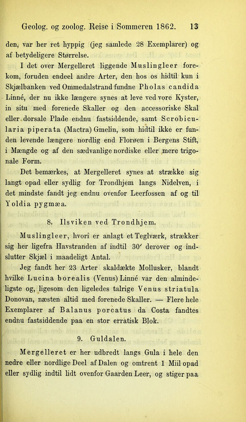 den, var her ret hyppig (jeg samlede 28 Exemplarer) og af betydeligere Størrelse. I det over Mergelleret liggende Muslingleer fore- kom, foruden endeel andre Arter, den hos os hidtil kun i Skjælbanken ved Ommedalstrand fundne Pholas candida Linné, der nu ikke længere synes at leve ved vore Kyster, in situ med forenede Skaller og den accessoriske Skal eller dorsale Plade endnu fastsiddende, samt Scrobicu- laria piperata (Mactra) Gmelin, som hidtil ikke er fun- den levende længere nordlig end Florøen i Bergens Stift, i Mængde og af den sædvanlige nordiske eller mere trigo- nale Form. Det bemærkes, at Mergelleret synes at strække sig langt opad eller sydlig for Trondhjem langs Nidelven, i det mindste fandt jeg endnu ovenfor Leerfossen af og til Yoldia pygmæa. 8. Ilsviken ved Trondhjem. Muslingleer, hvori er anlagt et Teglværk, strækker sig her ligefra Havstranden af indtil 30' derover og ind- slutter Skjæl i maadeligt Antal. Jeg fandt her 23 Arter skaldækte Mollusker, blandt hvilke Lucina borealis (Venus) Linné var den alminde- ligste og, ligesom den ligeledes talrige Venus striatula Donovan, næsten altid med forenede Skaller. — Flere hele Exemplarer af Balanus porcatus da Costa fandtes endnu fastsiddende paa en stor erratisk Blok. 9. Guldalen. Mergelleret er her udbredt langs Gula i hele den nedre eller nordlige Deel af Dalen og omtrent 1 Miil opad eller sydlig indtil lidt ovenfor Gaarden Leer, og stiger paa