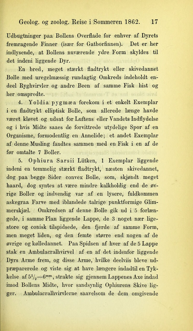 Udbugtninger paa Bollens Overflade for enhver af Dyrets fremragende Finner (især for Gatborfinnen). Det er her indlysende, at Bollens nuværende ydre Form skyldes til det indeni liggende Dyr. En bred, meget stærkt fladtrykt eller skivedannet Bolle med uregelmæssig rundagtig Omkreds indeholdt en- deel Ryghvirvler og andre Been af samme Fisk hist og her omspredte. 4. Yoldia pygmæa forekom i et enkelt Exemplar i en fladtrykt elliptisk Bolle, som allerede længe havde været kløvet og udsat for Luftens eller Vandets Indflydelse og i hvis Midte saaes de forvittrede utydelige Spor af en Organisme, formodentlig en Annelide; et andet Exemplar af denne Musling fandtes sammen med en Fisk i en af de før omtalte 7 Boller. 5. Ophiura Sarsii Liitken, 1 Exemplar liggende indeni en temmelig stærkt fladtrykt, næsten skivedannet, dog paa begge Sider convex Bolle, som, skjøndt meget haard, dog syntes at være mindre kalkholdig end de øv- rige Boller og indvendig var af en lysere, fuldkommen askegraa Farve med iblandede talrige punktformige Glim- merskjæl. Omkredsen af denne Bolle gik ud i 5 forlæn- gede, i samme Plan liggende Lappe, de 3 noget nær lige- store og conisk tilspidsede, den fjerde af samme Form, men meget liden, og den femte større end nogen af de øvrige og kølledannet. Paa Spidsen af hver af de 5 Lappe stak en Ambulacralhvirvel af en af det indenfor liggende Dyrs Arme frem, og disse Arme, hvilke deelviis bleve ud- præparerede og viste sig at have længere indadtil en Tyk- kelse af5V2—6mm, strakte sig gjennem Lappenes Axe indad imod Bollens Midte, hvor sandsynlig Ophiurens Skive lig- ger. Ambulacralhvirvlerne saavelsom de dem omgivende