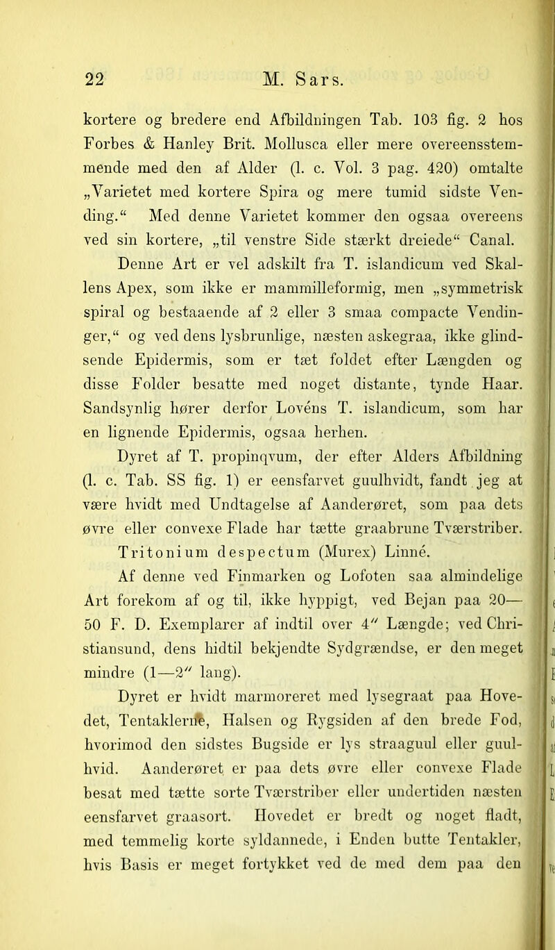 kortere og bredere end Afbildningen Tab. 103 fig. 2 bos Forbes & Hanley Brit. Mollusca eller mere overeensstem- mende med den af Alder (1. c. Vol. 3 pag. 420) omtalte „Varietet med kortere Spira og mere tumid sidste Ven- ding/1 Med denne Varietet kommer den ogsaa overeens ved sin kortere, „til venstre Side stærkt dreiede“ Canal. Denne Art er vel adskilt fra T. islandicum ved Skal- lens Apex, som ikke er mammilleformig, men „symmetrisk spiral og bestaaende af 2 eller 3 smaa compacte Vendin- ger, “ og ved dens lysbrunlige, næsten askegraa, ikke giind- sende Epidermis, som er tæt foldet efter Længden og disse Folder besatte med noget distante, tynde Haar. Sandsynlig bører derfor Lovéns T. islandicum, som bar en lignende Epidermis, ogsaa herhen. Dyret af T. propinqvum, der efter Alders Afbildning (1. c. Tab. SS fig. 1) er eensfarvet guulhvidt, fandt jeg at være hvidt med Undtagelse af Aanderøret, som paa dets øvre eller convexe Flade har tætte graabrune Tværstriber. Tritonium despectum (Murex) Linné. Af denne ved Finmarken og Lofoten saa almindelige Art forekom af og til, ikke hyppigt, ved Bejan paa 20— 50 F. D. Exemplarer af indtil over 4 Længde; ved Chri- stiansund, dens hidtil bekjendte Sydgrændse, er den meget mindre (1—2 lang). Dyret er hvidt marmoreret med lysegraat paa Hove- det, Tentaklerifb, Halsen og Rygsiden af den brede Fod, hvorimod den sidstes Bugside er lys straaguul eller guul- hvid. Aanderøret er paa dets øvre eller convexe Flade besat med tætte sorte Tværstriber eller undertiden næsten eensfarvet graasort. Hovedet er bredt og noget fladt, med temmelig korte syldannede, i Enden butte Tentakler, hvis Basis er meget fortykket ved de med dem paa den