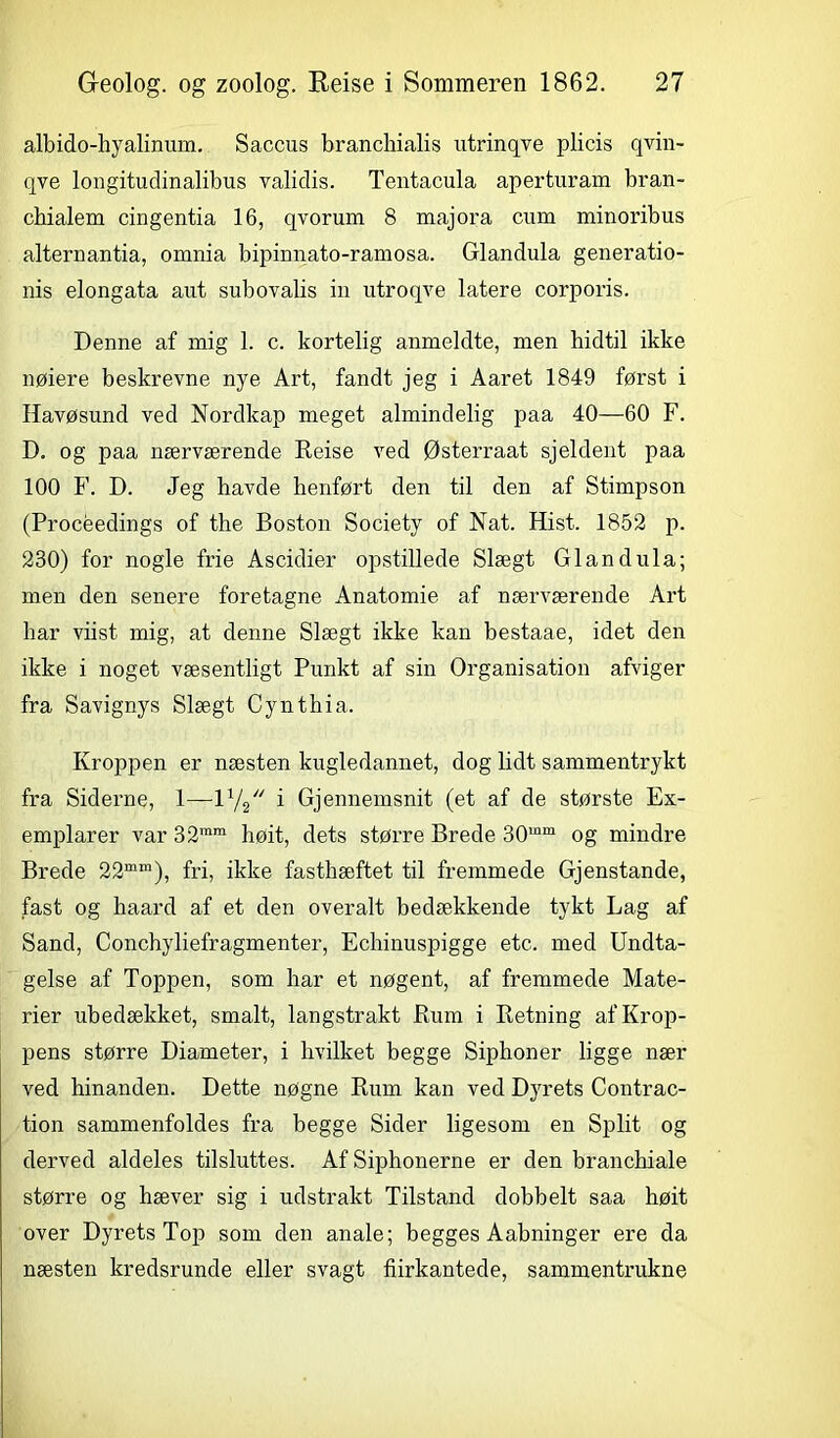 albido-hyalinum. Saccus branchialis utrinqve pli cis qvin- qve longitudinalibus validis. Tentacula aperturam bran- cbialem cingentia 16, qvorum 8 majora cum minoribus alternantia, omnia bipinnato-ramosa. Glandula generatio- nis elongata ant subovalis in utroqve latere corporis. Denne af mig 1. c. kortelig anmeldte, men hidtil ikke nøiere beskrevne nye Art, fandt jeg i Aaret 1849 først i Havøsund ved Nordkap meget almindelig paa 40—60 F. D. og paa nærværende Reise ved Østerraat sjeldent paa 100 F. D. Jeg havde henført den til den af Stimpson (Procéedings of the Boston Society of Nat. Hist. 1852 p. 230) for nogle frie Ascidier opstillede Slægt Glandula; men den senere foretagne Anatomie af nærværende Art bar viist mig, at denne Slægt ikke kan bestaae, idet den ikke i noget væsentligt Punkt af sin Organisation afviger fra Savignys Slægt Cynthia. Kroppen er næsten kugledannet, dog lidt sammentrykt fra Siderne, 1—l1//' i Gjennemsnit (et af de største Ex- emplarer var 32mm høit, dets større Brede 30mm og mindre Brede 22mm), fri, ikke fasthæftet til fremmede Gjenstande, fast og haard af et den overalt bedækkende tykt Lag af Sand, Conchyliefragmenter, Echinuspigge etc. med Undta- gelse af Toppen, som har et nøgent, af fremmede Mate- rier ubedækket, smalt, langstrakt Rum i Retning af Krop- pens større Diameter, i hvilket begge Siphoner ligge nær ved hinanden. Dette nøgne Rum kan ved Dyrets Contrac- tion sammenfoldes fra begge Sider ligesom en Split og derved aldeles tilsluttes. Af Siphonerne er den branchiale større og hæver sig i udstrakt Tilstand dobbelt s aa høit over Dyrets Top som den anale; begges Aabninger ere da næsten kredsrunde eller svagt fiirkantede, sammentrukne