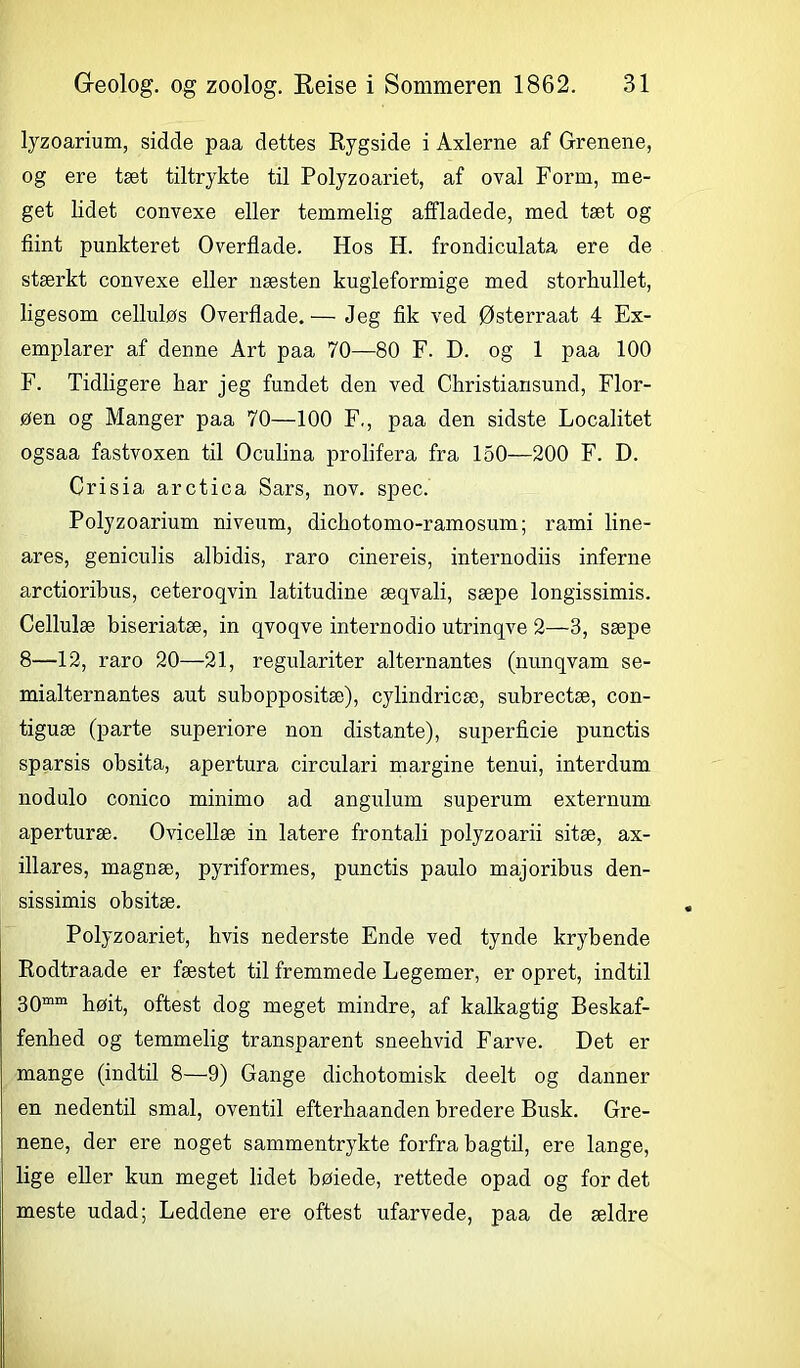 lyzoarium, sidde paa dettes Rygside i Axlerne af Grenene, og ere tæt tiltrykte til Polyzoariet, af oval Form, me- get lidet convexe eller temmelig affladede, med tæt og flint punkteret Overflade. Hos H. frondiculata ere de stærkt convexe eller næsten kugleformige med storAullet, ligesom celluløs Overflade.— Jeg fik ved Østerraat 4 Ex- emplarer af denne Art paa 70—80 F. D. og 1 paa 100 F. Tidligere kar jeg fundet den ved Christiansund, Flor- øen og Manger paa 70—100 F., paa den sidste Localitet ogsaa fastvoxen til Oculina prolifera fra 150—200 F. D. Crisia arctica Sars, nov. spec. Polyzoarium niveum, dicbotomo-ramosum; rami line- ares, geniculis albidis, raro cinereis, internodiis inferne arctioribus, ceteroqvin latitudine æqvali, sæpe longissimis. Cellulæ biseriatæ, in qvoqve internodio utrinqve 2—3, sæpe 8—12, raro 20—21, regulariter alternantes (nunqvam se- mialternantes aut suboppositæ), cylindricæ, subrectæ, con- tiguæ (parte superiore non distante), superficie punctis sparsis obsita, apertura circulari margine tenui, interdum nodulo conico minimo ad angulum superum externum aperturæ. Ovicellæ in latere frontali polyzoarii sitæ, ax- illares, magnæ, pyriformes, punctis paulo majoribus den- sissimis obsitæ. Polyzoariet, hvis nederste Ende ved tynde krybende Rodtraade er fæstet til fremmede Legemer, er opret, indtil 30mm høit, oftest dog meget mindre, af kalkagtig Beskaf- fenhed og temmelig transparent sneebvid Farve. Det er mange (indtil 8—9) Gange dichotomisk deelt og danner en nedentil smal, oventil efterhaanden bredere Busk. Gre- nene, der ere noget sammentrykte forfra bagtil, ere lange, lige eller kun meget lidet bøiede, rettede opad og for det meste udad; Leddene ere oftest ufarvede, paa de ældre