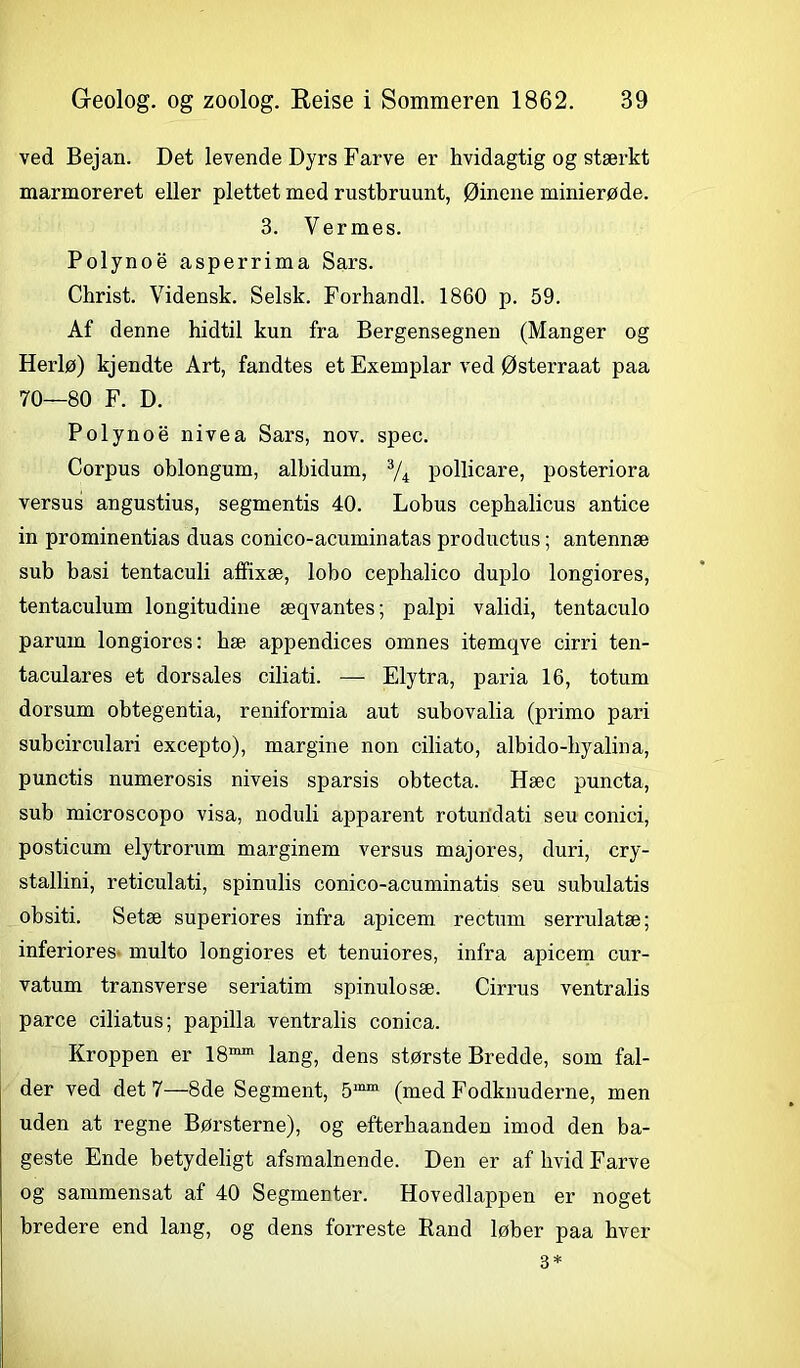 ved Bejan. Det levende Dyrs Farve er hvidagtig og stærkt marmoreret eller plettet med rustbruunt, Øinene minierøde. 3. Vermes. Polynoé asperrima Sars. Christ. Vidensk. Selsk. Forhandl. 1860 p. 59. Af denne hidtil kun fra Bergensegnen (Manger og Herlø) kjendte Art, fandtes et Exemplar ved Østerraat paa 70—80 F. D. Polynoe nivea Sars, nov. spec. Corpus oblongum, alhidum, 3/4 pollicare, posteriora versus angustius, segmentis 40. Lobus cephalicus antice in prominentias duas conico-acuminatas productus; antennæ sub basi tentaculi affixæ, lobo cephalico duplo longiores, tentaculum longitudine æqvantes; palpi validi, tentaculo parum longiores: bæ appendices omnes itemqve cirri ten- taculares et dorsales ciliati. — Elytra, paria 16, totum dorsum obtegentia, reniformia aut subovalia (primo pari subcirculari excepto), margine non ciliato, albido-liyalina, punctis numerosis niveis sparsis obtecta. Hæc puncta, sub microscopo visa, noduli apparent rotundati seu conici, posticum elytrorum marginem versus majores, duri, cry- stallini, reticulati, spinulis conico-acuminatis seu subulatis obsiti. Setæ superiores infra apicem rectum serrulatæ; inferiores- multo longiores et tenuiores, infra apicem cur- vatum transverse seriatim spinulosæ. Cirrus ventralis parce ciliatus; papilla ventralis conica. Kroppen er 18”1 lang, dens største Bredde, som fal- der ved det 7—8de Segment, 5mm (med Fodknuderne, men uden at regne Børsterne), og efterhaanden imod den ba- geste Ende betydeligt afsmalnende. Den er af livid Farve og sammensat af 40 Segmenter. Hovedlappen er noget bredere end lang, og dens forreste Rand løber paa hver 3*