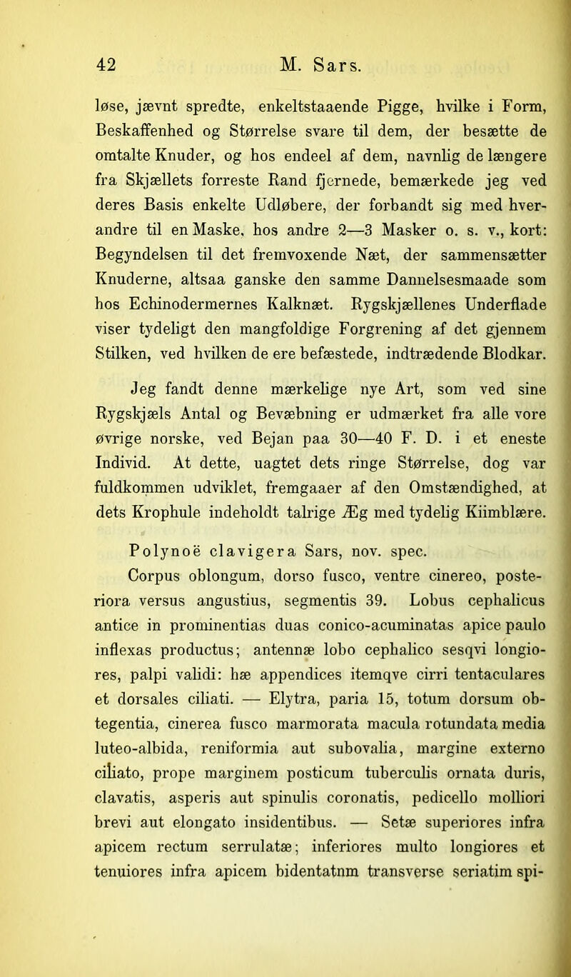 løse, jævnt spredte, enkeltstaaende Pigge, hvilke i Form, Beskaffenhed og Størrelse svare til dem, der besætte de omtalte Knuder, og hos endeel af dem, navnlig de længere fra Skjællets forreste Rand fjernede, bemærkede jeg ved deres Basis enkelte Udløbere, der forbandt sig med hver- andre til en Maske, bos andre 2—3 Masker o. s. v., kort: Begyndelsen til det fremvoxende Næt, der sammensætter Knuderne, altsaa ganske den samme Dannelsesmaade som hos Echinodermernes Kalknæt. Rygskjællenes Underflade viser tydeligt den mangfoldige Forgrening af det gjennem Stilken, ved hvilken de ere befæstede, indtrædende Blodkar. Jeg fandt denne mærkelige nye Art, som ved sine Rygskjæls Antal og Bevæbning er udmærket fra alle vore øvrige norske, ved Bejan paa 30—40 F. D. i et eneste Individ. At dette, uagtet dets ringe Størrelse, dog var fuldkommen udviklet, fremgaaer af den Omstændighed, at dets Kropbule indeholdt talrige Æg med tydelig Kiimblære. Polynoé clavigera Sars, nov. spec. Corpus oblongum, dorso fusco, ventre cinereo, poste- riora versus angustius, segmentis 39. Lobus cephalicus antice in prominentias duas conico-acuminatas apice paulo inflexas productus; antennæ lobo cepbalico sesqvi longio- res, palpi validi: hæ appendices itemqve cirri tentaculares et dorsales ciliati. — Elytra, paria 15, totum dorsum ob- tegentia, cinerea fusco marmorata macula rotundata media luteo-albida, reniformia aut subovaba, margine externo ciliato, prope marginem posticum tuberculis ornata duris, clavatis, asperis aut spinulis coronatis, pedicello molliori brevi aut elongato insidentibus. — Setæ superiores infra apicem rectum serrulatæ; inferiores multo longiores et tenuiores infra apicem bidentatnm transverse seriatim spi-