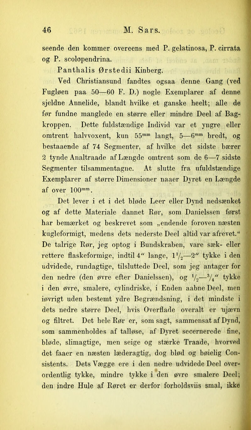 seende den kommer overeens med P. gelatinosa, P. cirrata og P. scolopendrina. Panthalis Ørstedii Kinberg. Ved Christiansund fandtes ogsaa denne Gang (ved Fugløen paa 50—60 F. D.) nogle Exemplarer af denne sjeldne Annelide, blandt hvilke et ganske heelt; alle de før fundne manglede en større eller mindre Deel af Bag- kroppen. Dette fuldstændige Individ var et yngre eller omtrent halvvoxent, kun 55mm langt, 5—6mm bredt, og bestaaende af 74 Segmenter, af hvilke det sidste bærer 2 tynde Analtraade af Længde omtrent som de 6—7 sidste Segmenter tilsammentagne. At slutte fra ufuldstændige Exemplarer af større Dimensioner naaer Dyret en Længde af over 100rara. Det lever i et i det bløde Leer eller Dynd nedsænket og af dette Materiale dannet Rør, som Danielssen først har bemærket og beskrevet som „endende foroven næsten kugleformigt, medens dets nederste Deel altid var afrevet.“ De talrige Rør, jeg optog i Bundskraben, vare sæk- eller rettere flaskeformige, indtil 4 lange, iy2—2 tykke iden udvidede, rundagtige, tilsluttede Deel, som jeg antager for den nedre (den øvre efter Danielssen), og Vs—Vi tykke i den øvre, smalere, cylindriske, i Enden aabne Deel, men iøvrigt uden bestemt ydre Begrændsning, i det mindste i dets nedre større Deel, hvis Overflade overalt er ujævn og filtret. Det hele Rør er, som sagt, sammensat af Dynd, som sammenholdes af talløse, af Dyret secernerede fine, bløde, slimagtige, men seige og stærke Traade, hvorved det faaer en næsten læderagtig, dog blød og bøielig Con- sistents. Dets Vægge ere i den nedre udvidede Deel over- ordentlig tykke, mindre tykke i den øvre smalere Deel; den indre Hule af Røret er derfor forholdsviis smal, ikke