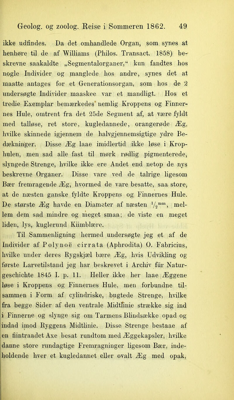 ikke udfindes. Da det omhandlede Organ, som sjmes at henhøre til de af Williams (Philos. Transact. 1858) be- skrevne saakaldte „Segmentalorganer,“ knn fandtes hos nogle Individer og manglede hos andre, synes det at maatte antages for et Generationsorgan, som hos de 2 undersøgte Individer maaskee var et mandligt. Hos et tredie Exemplar bemærkedes' nemlig Kroppens og Finner- nes Hule, omtrent fra det 25de Segment af, at være fyldt med talløse, ret store, kugledannede, orangerøde Æg, hvilke skinnede igjennem de halvgjennemsigtige ydre Be- dækninger. Disse Æg laae imidlertid ikke løse i Krop- hulen, men sad alle fast til mørk rødlig pigmenterede, slyngede Strenge, hvilke ikke ere Andet end netop de nys beskrevne Organer. Disse vare ved de talrige ligesom Bær fremragende Æg, hvormed de vare besatte, saa store, at de næsten ganske fyldte Kroppens og Finnernes Hule. De største Æg havde en Diameter af næsten y2mm, mel- lem dem sad mindre og meget smaa; de viste en meget liden, lys, kuglerund Kiimblære. Til Sammenligning hermed undersøgte jeg et af de Individer af Polynoe cirrata (Aphrodita) O. Fabricius, hvilke under deres Rygskjæl bære Æg, hvis Udvikling og første Larvetilstand jeg har beskrevet i Archiv fur Natur- geschichte 1845 I. p. 11. Heller ikke her laae Æggene løse i Kroppens og Finnernes Hule, men forbundne til- sammen i Form af cylindriske, bugtede Strenge, hvilke fra begge Sider af den ventrale Midtlinie strække sig ind i Finnerne og slynge sig om Tarmens Blindsække opad og indad imod Ryggens Midtlinie. Disse Strenge bestaae af en fiintraadet Axe besat rundtom med Æggekapsler, hvilke danne store rundagtige Fremragninger ligesom Bær, inde- holdende hver et kugledannet eller ovalt Æg med opak,