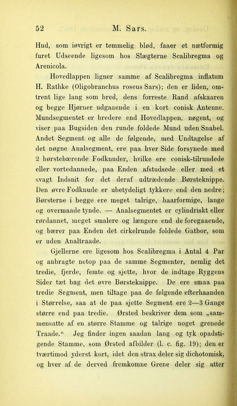 Hud, som iøvrigt er temmelig blød, faaer et nætformig furet Udseende ligesom hos Slægterne Scalibregma og Arenicola. Hovedlappen ligner samme af Scalibregma inflatum H. Rathke (Oligobranchus roseusSars); den er liden, om- trent lige lang som bred, dens forreste Rand afskaaren og begge Hjørner udgaaende i en kort conisk Antenne. Mundsegmentet er bredere end Hovedlappen, nøgent, og viser paa Bugsiden den runde foldede Mund uden Snabel. Andet Segment og alle de følgende, med Undtagelse af det nøgne Analsegment, ere paa hver Side forsynede med 2 børstebærende Fodknuder, hvilke ere conisk-tilrundede eller vortedannede, paa Enden afstudsede eller med et svagt Indsnit for det deraf udtrædende Børsteknippe. Den øvre Fodknude er ubetydeligt tykkere end den nedre; Børsterne i begge ere meget talrige, haarformige, lange og overmande tynde. — Analsegmentet er cylindriskt eller rørdannet, meget smalere og længere end de foregaaende, og bærer paa Enden det cirkelrunde foldede Gatbor, som er uden Analtraade. Gjellerne ere ligesom hos Scalibregma i Antal 4 Par og anbragte netop paa de samme Segmenter, nemlig det tredie, fjerde, femte og sjette, hvor de indtage Ryggens Sider tæt bag det øvre Børsteknippe. De ere smaa paa tredie Segment, men tiltage paa de følgende efterliaanden i Størrelse, saa at de paa sjette Segment ere 2—3 Gange større end paa tredie. Ørsted beskriver dem som „sam- mensatte af en større Stamme og talrige noget grenede Traade.“ Jeg finder ingen saadan lang og tyk opadsti- gende Stamme, som Ørsted afbilder (1. c. fig. 19); den er tværtimod yderst kort, idet den strax deler sig dichotomisk, og hver af de derved fremkomne Grene deler sig atter