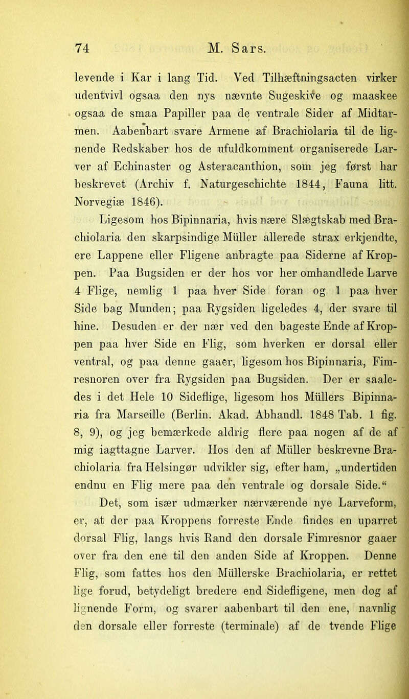 levende i Kar i lang Tid. Ved Tilhæftningsaeten virker udentvivl ogsaa den nys nævnte Sugeskive og maaskee ogsaa de smaa Papiller paa de ventrale Sider af Midtar- men. Aabenbart svare Armene af Brackiolaria til de lig- nende Redskaber bos de ufuldkomment organiserede Lar- ver af Echinaster og Asteracanthion, som jeg først bar beskrevet (Archiv f. Naturgescbielite 1844, Fauna litt. Norvegiæ 1846). Ligesom hos Bipinnaria, hvis nære Slægtskab med Bra- chiolaria den skarpsindige Muller allerede strax erkjendte, ere Lappene eller Fligene anbragte paa Siderne af Krop- pen. Paa Bugsiden er der hos vor lier omhandlede Larve 4 Flige, nemlig 1 paa hver Side foran og 1 paa hver Side bag Munden; paa Rygsiden ligeledes 4, der svare til hine. Desuden er der nær ved den bageste Ende af Krop- pen paa hver Side en Flig, som hverken er dorsal eller ventral, og paa denne gaaer, ligesom hos Bipinnaria, Fim- resnoren over fra Rygsiden paa Bugsiden. Der er saale- des i det Hele 10 Sideflige, ligesom hos Mullers Bipinna- ria fra Marseille (Berlin. Akad. Abhandl. 1848 Tab. 1 fig. 8, 9), og jeg bemærkede aldrig flere paa nogen af de af mig iagttagne Larver. Hos den af Muller beskrevne Bra- chiolaria fra Helsingør udvikler sig, efter ham, „undertiden endnu en Flig mere paa den ventrale og dorsale Side.“ Det, som især udmærker nærværende nye Larveform, er, at der paa Kroppens forreste Ende findes en uparret dorsal Flig, langs hvis Rand den dorsale Fimresnor gaaer over fra den ene til den anden Side af Kroppen. Denne Flig, som fattes hos den Miillerske Brachiolaria, er rettet lige forud, betydeligt bredere end Sidefligene, men dog af lignende Form, og svarer aabenbart til den ene, navnlig den dorsale eller forreste (terminale) af de tvende Flige