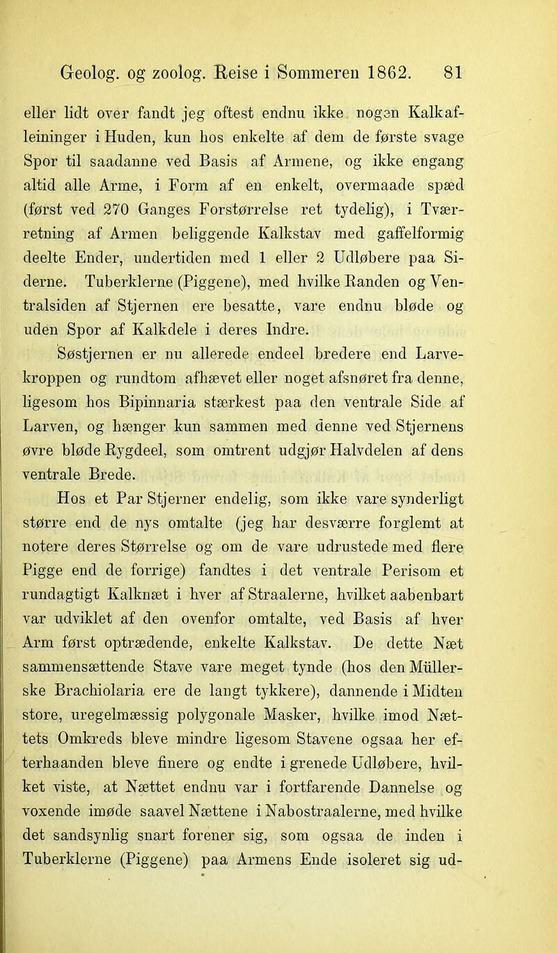 eller lidt over fandt jeg oftest endnu ikke nogen Kalkaf- leininger i Huden, kun lios enkelte af dem de første svage Spor til saadanne ved Basis af Armene, og ikke engang altid alle Arme, i Form af en enkelt, overmaade spæd (først ved 270 Ganges Forstørrelse ret tydelig), i Tvær- retning af Armen beliggende Kalkstav med gaffelformig deelte Ender, undertiden med 1 eller 2 Udløbere paa Si- derne. Tuberklerne (Piggene), med hvilke Randen og Yen- tralsiden af Stjernen ere besatte, vare endnu bløde og uden Spor af Kalkdele i deres Indre. Søstjernen er nu allerede endeel bredere end Larve- kroppen og rundtom afhævet eller noget afsnøret fra denne, ligesom hos Bipinna-ria stærkest paa den ventrale Side af Larven, og hænger kun sammen med denne ved Stjernens øvre bløde Rygdeel, som omtrent udgjør Halvdelen af dens ventrale Brede. Hos et Par Stjerner endelig, som ikke vare synderligt større end de nys omtalte (jeg har desværre forglemt at notere deres Størrelse og om de vare udrustede med flere Pigge end de forrige) fandtes i det ventrale Perisom et rundagtigt Kalknæt i hver af Straalerne, hvilket aabenbart var udviklet af den ovenfor omtalte, ved Basis af hver Arm først optrædende, enkelte Kalkstav. De dette Næt sammensættende Stave vare meget tynde (hos den Muller- ske Bracliiolaria ere de langt tykkere), dannende i Midten store, uregelmæssig polygonale Masker, hvilke imod Næt- tets Omkreds bleve mindre ligesom Stavene ogsaa her ef- terhaanden bleve finere og endte i grenede Udløbere, hvil- ket viste, at Nættet endnu var i fortfarende Dannelse og voxende imøde saavel Nættene i Nabostraalerne, med hvilke det sandsynlig snart forener sig, som ogsaa de inden i Tuberklerne (Piggene) paa Armens Ende isoleret sig ud-