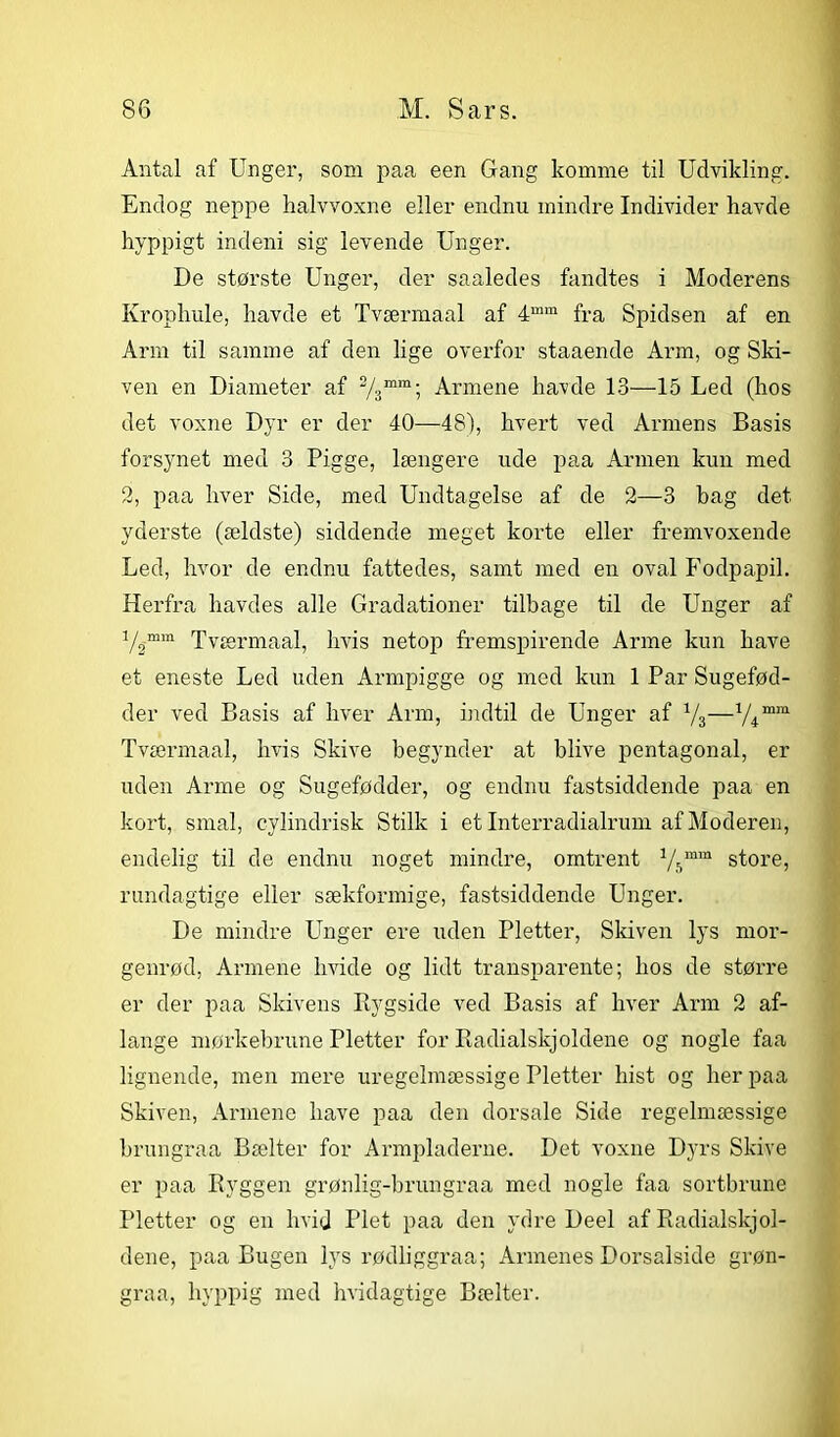 Antal af Unger, som paa een Gang komme til Udvikling. Endog neppe halvvoxne eller endnu mindre Individer havde hyppigt indeni sig levende Unger. De største Unger, der saaledes fandtes i Moderens Krophule, havde et Tværmaal af 4mra fra Spidsen af en Arm til samme af den lige overfor staaende Arm, og Ski- ven en Diameter af 2/3mm; Armene havde 13—15 Led (hos det voxne Dyr er der 40—48), hvert ved Armens Basis forsynet med 3 Pigge, længere ude paa Armen kun med 2, paa hver Side, med Undtagelse af de 2—3 bag det yderste (ældste) siddende meget korte eller fremvoxende Led, hvor de endnu fattedes, samt med en oval Fodpapil. Herfra havdes alle Gradationer tilbage til de Unger af v2mm Tværmaal, hvis netop fremspirende Arme kun have et eneste Led uden Armpigge og med kun 1 Par Sugefød- der ved Basis af hver Arm, indtil de Unger af V3—1/imm Tværmaal, hvis Skive begynder at blive pentagonal, er uden Arme og Sugefødder, og endnu fastsiddende paa en kort, smal, cylindrisk Stilk i et Interradialrum af Moderen, endelig til de endnu noget mindre, omtrent 1/bmm store, rundagtige eller sækformige, fastsiddende Unger. De mindre Pinger ere uden Pletter, Skiven lys mor- genrød, Armene hvide og lidt transparente; hos de større er der paa Skivens Rygside ved Basis af hver Arm 2 af- lange mørkebrune Pletter for Radialskjoldene og nogle faa lignende, men mere uregelmæssige Pletter hist og her paa Skiven, Armene have paa den dorsale Side regelmæssige brungraa Bælter for Armpladerne. Det voxne Dyrs Skive er paa Ryggen grønlig-brungraa med nogle faa sortbrune Pletter og en hvid Plet paa den ydre Deel af Radialskjol- dene, paa Bugen lys rødliggraa; Armenes Dorsalside grøn- graa, hyppig med hvidagtige Bælter.