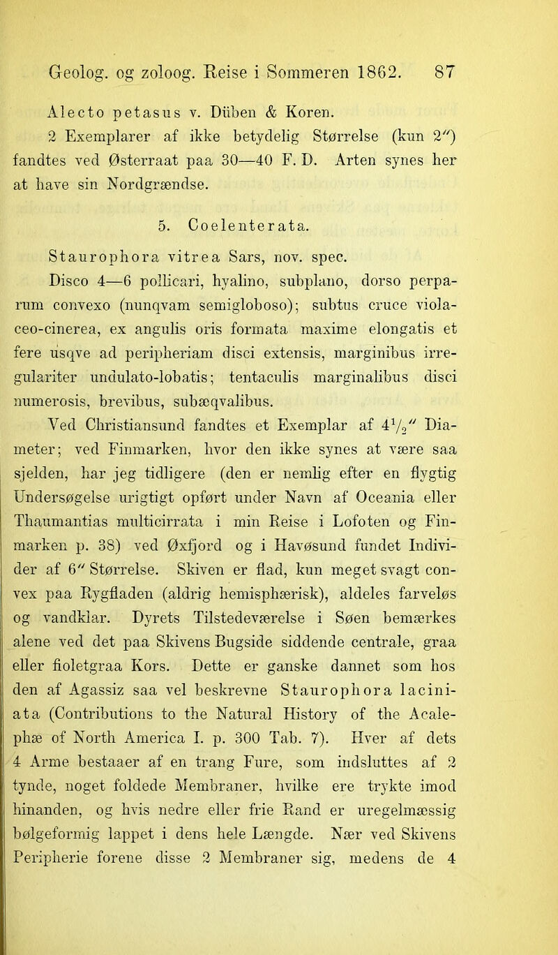 Alecto petasus v. Duben & Koren. 2 Exemplarer af ikke betydelig Størrelse (kun 2) fandtes ved Østerraat paa 30—40 F. D. Arten synes her at have sin Nordgrændse. 5. Coelenter ata. Staurophora vitrea Sars, nov. spec. Disco 4—6 pollicari, hyalino, subplano, dorso perpa- rum convexo (nunqvam semigloboso); subtus cruce viola- ceo-cinerea, ex angulis oris formata maxime elongatis et fere usqve ad peripheriam disci extensis, marginibus irre- gulariter undulato-lobatis; tentaculis marginalibus disci numerosis, brevibus, subæqvalibus. Ved Christiansund fandtes et Exemplar af 41/2 Dia- meter; ved Finmarken, hvor den ikke synes at være saa sjelden, har jeg tidligere (den er nemlig efter en flygtig Undersøgelse urigtigt opført under Navn af Oceania eller Thaumantias multicirrata i min Reise i Lofoten og Fin- marken p. 38) ved Øxfjord og i Havøsund fundet Indivi- der af 6 Størrelse. Skiven er flad, kun meget svagt con- vex paa Rygfladen (aldrig hemisphærisk), aldeles farveløs og vandklar. Dyrets Tilstedeværelse i Søen bemærkes alene ved det paa Skivens Bugside siddende centrale, graa eller fioletgraa Kors. Dette er ganske dannet som hos den af Agassiz saa vel beskrevne Staurophora lacini- ata (Contributions to the Natural History of the Acale- phæ of North America I. p. 300 Tab. 7). Hver af dets 4 Arme bestaaer af en trang Fure, som indsluttes af 2 tynde, noget foldede Membraner, hvilke ere trykte imod hinanden, og hvis nedre eller frie Rand er uregelmæssig bølgeformig lappet i dens hele Længde. Nær ved Skivens Peripherie forene disse 2 Membraner sig, medens de 4