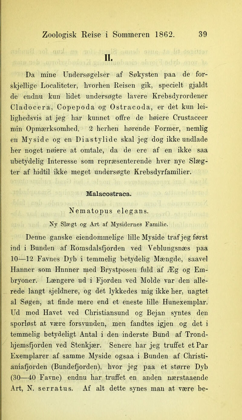 II. Da mine Undersøgelser af Søkysten paa de for- skjellige Localiteter, hvorhen Reisen gik, specielt gjaldt de endnu kun lidet undersøgte lavere Krebsdyrordener Cladocera, Copepoda og Ostracoda, er det kun lei- lighedsvis at jeg har kunnet offre de høiere Crustaceer min Opmærksomhed. 2 herhen hørende Former, nemlig en Myside og en Dias ty li de skal jeg dog ikke undlade her noget nøiere at omtale, da de ere af en ikke saa ubetydelig Interesse som repræsenterende hver nye Slæg- ter af hidtil ikke meget undersøgte Krebsdyrfamilier. Malacostraca. Nematopus elegans. Ny Slægt og Art af Mysidernes Familie. Denne ganske eiendommelige lille Myside traf jeg først ind i Bunden af Romsdalsfjorden ved Veblungsnæs paa 10—12 Favnes Dyb i temmelig betydelig Mængde, saavel Hanner som Hnnner med Brystposen fuld af Æg og Em- bryoner. Længere ud i Fjorden ved Molde var den alle- rede langt sjeldnere, og det lykkedes mig ikke her, uagtet al Søgen, at finde mere end et eneste lille Hunexemplar. Ud mod Havet ved Christiansund og Bejan syntes den sporløst at være forsvunden, men fandtes igjen og det i temmelig betydeligt Antal i den inderste Bund af Trond- hjemsfjorden ved Stenkjær. Senere har jeg truffet et Par Exemplarer af samme Myside ogsaa i Bunden af Christi- aniafjorden (Bundefjorden), hvor jeg paa et større Dyb (30—40 Favne) endnu har truffet en anden nærstaaende Art, N. serratus. Af alt dette synes man at være be-