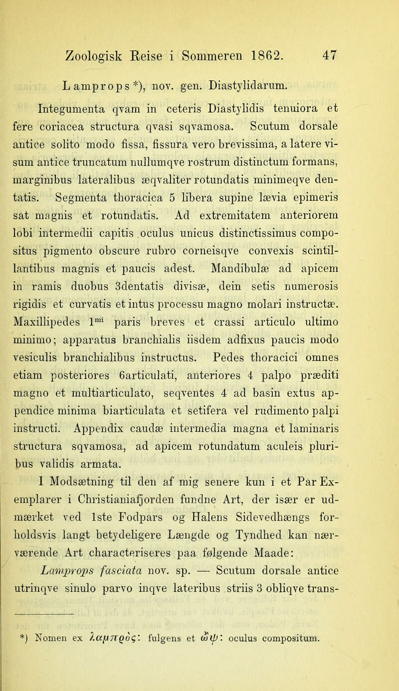 Lamprop s*), nov. gen. Diastylidarum. Integumenta qvam in ceteris Diastylidis tenuiora et fere coriacea structura qvasi sqvamosa. Scutum dorsale antice solito modo fissa, fissura vero brevissima, a latere vi- sum antice truncatum nullumqve rostrum distinctum formans, marginibus lateralibus æqvaliter rotundatis minimeqve den- tatis. Segmenta thoracica 5 libera supine lævia epimeris sat magnis et rotundatis. Ad extremitatem anteriorem lobi intermedii capitis oculus unicus distinctissimus compo- situs pigmento obscure rubro corneisqve convexis scintil- lantibus magnis et paucis adest. Mandibulæ ad apicem in ramis duobus 3dentatis divisæ, dein setis numerosis rigidis et curvatis et intus processu magno molari instructæ. Maxillipedes lmi paris breves et crassi articulo ultimo minimo; apparatus brancbialis iisdem adfixus paucis modo vesiculis brancbialibus instructus. Pedes thoracici omnes etiam posteriores 6articula,ti, anteriores 4 palpo præditi magno et multiarticulato, seqventes 4 ad basin extus ap- pendice minima biarticulata et setifera vel rudimento palpi instructi. Appendix caudæ intermedia magna et laminaris structura sqvamosa, ad apicem rotundatum aculeis pluri- bus validis armata. I Modsætning til den af mig senere kun i et Par Ex- emplarer i Christianiafjorden fundne Art, der især er ud- mærket ved 1ste Fodpars og Halens Sidevedhængs for- holdsvis langt betydeligere Længde og Tyndhed kan nær- værende Art characteriseres paa følgende Maade: Lctmprops fasciata nov. sp. — Scutum dorsale antice utrinqve sinulo parvo inqve lateribus striis 3 obliqve trans- *) Nornen ex ).ap7TQog'. fulgens et oculus compositum.
