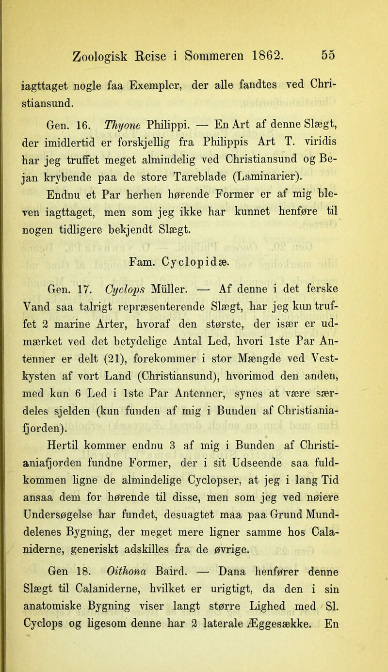 iagttaget nogle faa Exempler, der alle fandtes ved Chri- stiansund. Gen. 16. Thyont Philippi. — En Art af denneSlægt, der imidlertid er forskjellig fra Philippis Art T. viridis har jeg truffet meget almindelig ved Christiansund og Be- jan krybende paa de store Tareblade (Laminarier). Endnu et Par herhen hørende Former er af mig ble- ven iagttaget, men som jeg ikke har kunnet henføre til nogen tidligere bekjendt Slægt. Fam. Cyclopidæ. Gen. 17. Cyclops Muller. —• Af denne i det ferske Vand saa talrigt repræsenterende Slægt, har jeg kun truf- fet 2 marine Arter, hvoraf den største, der især er ud- mærket ved det betydelige Antal Led, hvori 1ste Par An- tenner er delt (21), forekommer i stor Mængde ved Vest- kysten af vort Land (Christiansund), hvorimod den anden, med kun 6 Led i 1ste Par Antenner, synes at være sær- deles sjelden (kun funden af mig i Bunden af Christiania- fj orden). Hertil kommer endnu 3 af mig i Bunden af Christi- aniafjorden fundne Former, der i sit Udseende saa fuld- kommen ligne de almindelige Cyclopser, at jeg i lang Tid ansaa dem for hørende til disse, men som jeg ved nøiere Undersøgelse har fundet, desuagtet maa paa Grund Mund- delenes Bygning, der meget mere ligner samme hos Cala- niderne, generiskt adskilles fra de øvrige. Gen 18. Oithona Baird. — Dana henfører denne Slægt til Calaniderne, hvilket er urigtigt, da den i sin anatomiske Bygning viser langt større Lighed med SI. Cyclops og ligesom denne har 2 laterale Æggesække. En
