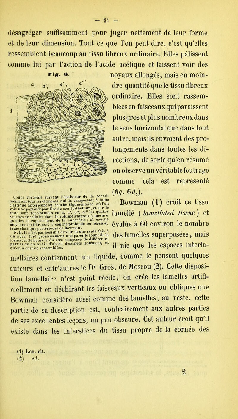 Fig. «. désagréger suffisamment pour juger nettement de leur forme et de leur dimension. Tout ce que l’on peut dire, c’est qu’elles ressemblent beaucoup au tissu fibreux ordinaire. Elles pâlissent comme lui par l’action de l’acide acétique et laissent voir des noyaux allongés, mais en moin- dre quantité que le tissu fibreux ordinaire. Elles sont rassem- blées en faisceaux qui paraissent plus gros et plus nombreux dans le sens horizontal que dans tout autre,maisils envoient des pro- longements dans toutes les di- rections, de sorte qu’en résumé on observe un véritable feutrage comme cela est représenté {fig. 6 d,). Bowman (1) croit ce tissu lamellé ( lamellated tissue ) et évalue à 60 environ le nombre des lamelles superposées, mais il nie que les espaces interla- mellaires contiennent un liquide, comme le pensent quelques auteurs et entr’autres le Dr Gros, de Moscou (2). Cette disposi- tion lamellaire n’est point réelle, on crée les lamelles artifi- ciellement en déchirant les faisceaux verticaux ou obliques que Bowman considère aussi comme des lamelles; au reste, cette partie de sa description est, contrairement aux autres parties de ses excellentes leçons, un peu obscure. Cet auteur croit qu il existe dans les interstices du tissu propre de la cornée des Coupe verticale suivant l’épaisseur de la cornée montrant tous les éléments qui la composent; o, lame élastique antérieure ou couche tégumentaire ou 1 on voit une partie dépouillée de son épithélium, et sur le reste sont représentées en a, a’, a”, a’” les quatre couches de cellules dont le volume s’accroît à mesuie qu’elles se rapprochent de la superficie ; a, couche moyenne ou fibreuse ; c couche profonde ou sereuse, lame élastique postérieure de Bowman. N. B. Il n’est pas possible de voir en une seule lois a un aussi fort grossissement une pareille coupe de la cornée; cette figure a dû être composée de différentes parties qu’on avait d’abord dessinées isolément, et qu’on a ensuite rassemblées. (1) Loc. cit. (2) id. 2